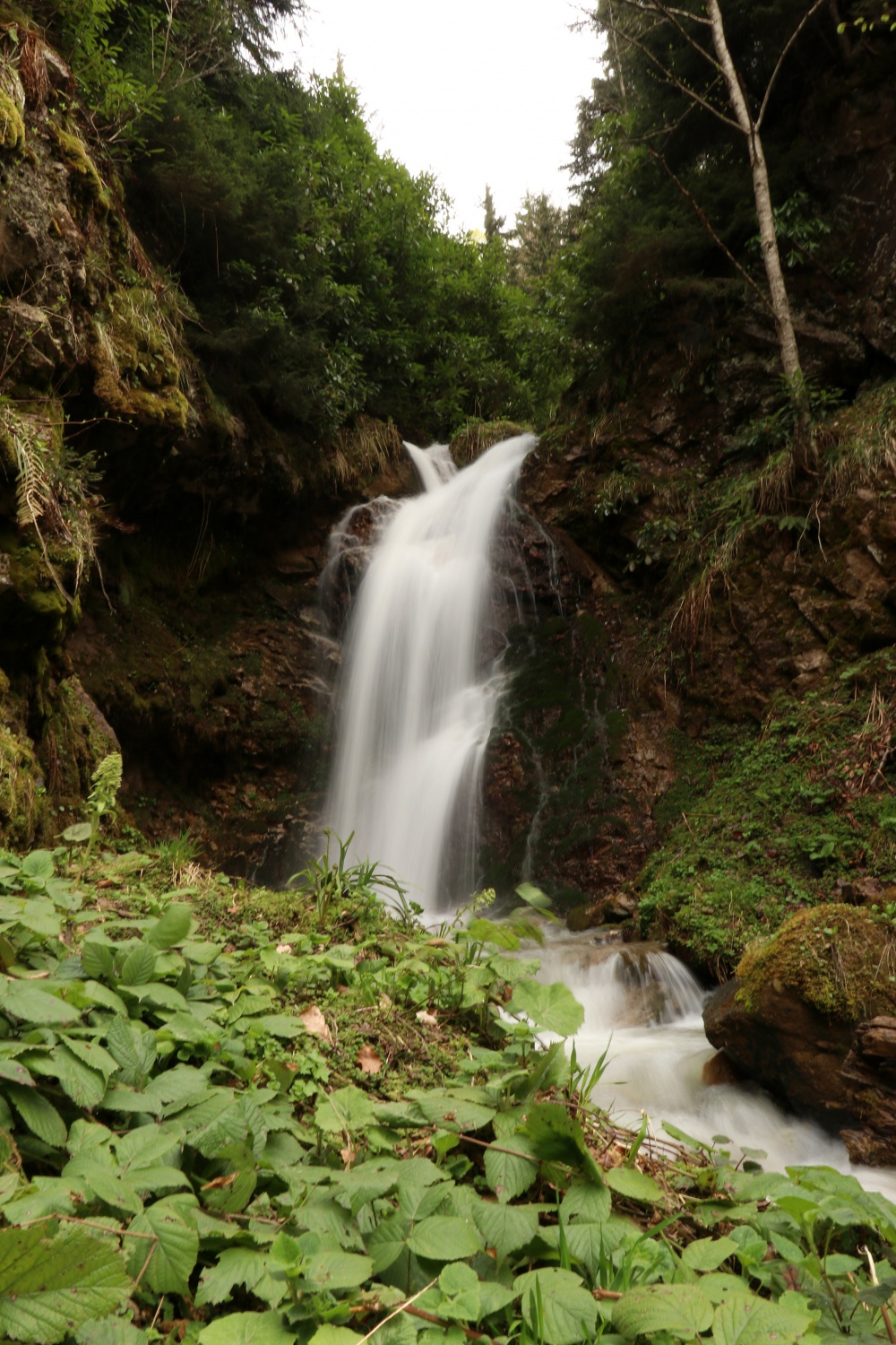 Gümüşhane'nin saklı cenneti Çağlayandibi Şelalesi baharla coştu 8