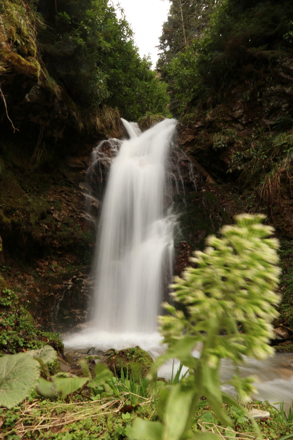Gümüşhane'nin saklı cenneti Çağlayandibi Şelalesi baharla coştu 5