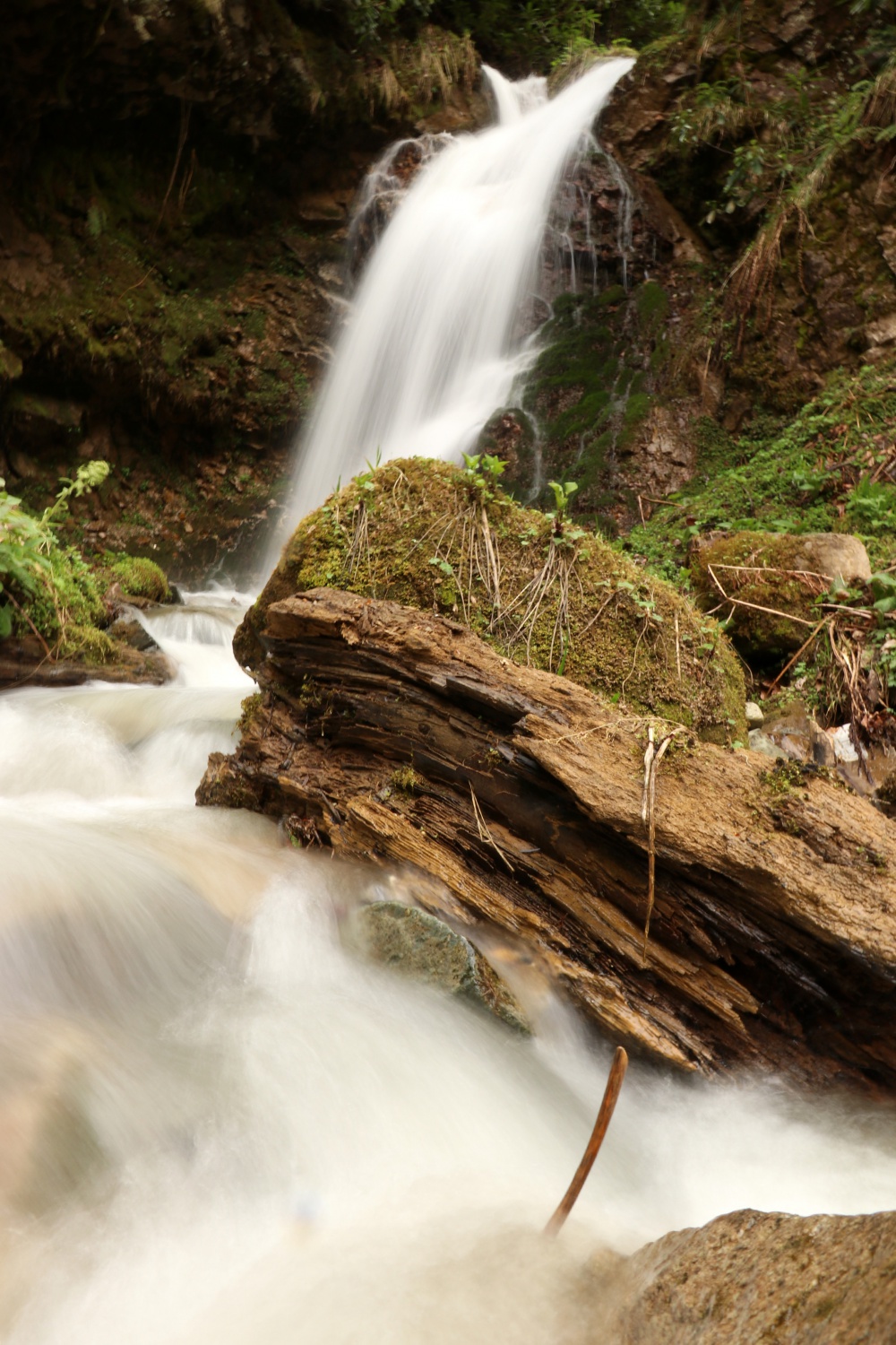 Gümüşhane'nin saklı cenneti Çağlayandibi Şelalesi baharla coştu 7
