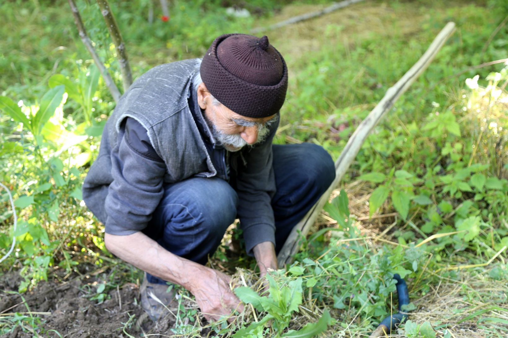 Görmeyen gözleriyle binlerce fidan yetiştirdi 5