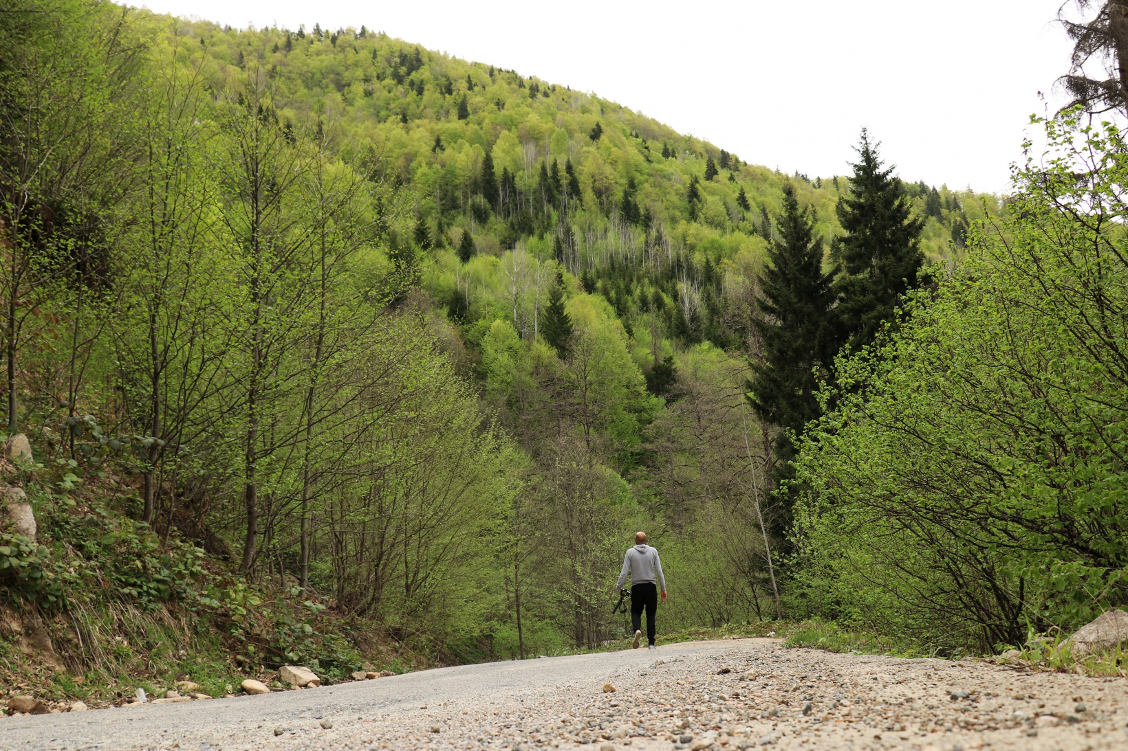 Gümüşhane'nin saklı cenneti Çağlayandibi Şelalesi baharla coştu 16