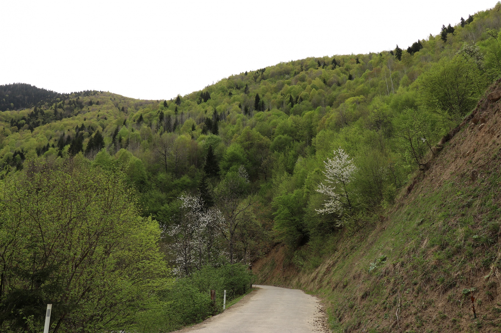 Gümüşhane'nin saklı cenneti Çağlayandibi Şelalesi baharla coştu 25