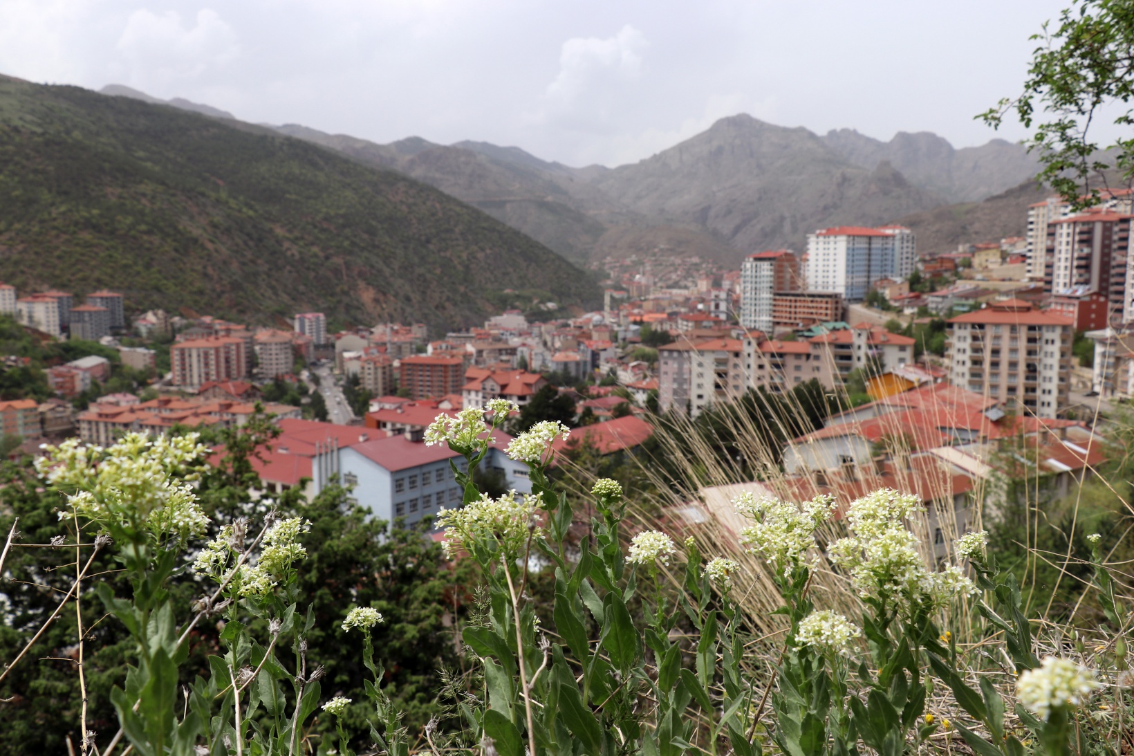 Gümüşhane'de 54 yılın Nisan ayı sıcaklık rekoru kırıldı 2