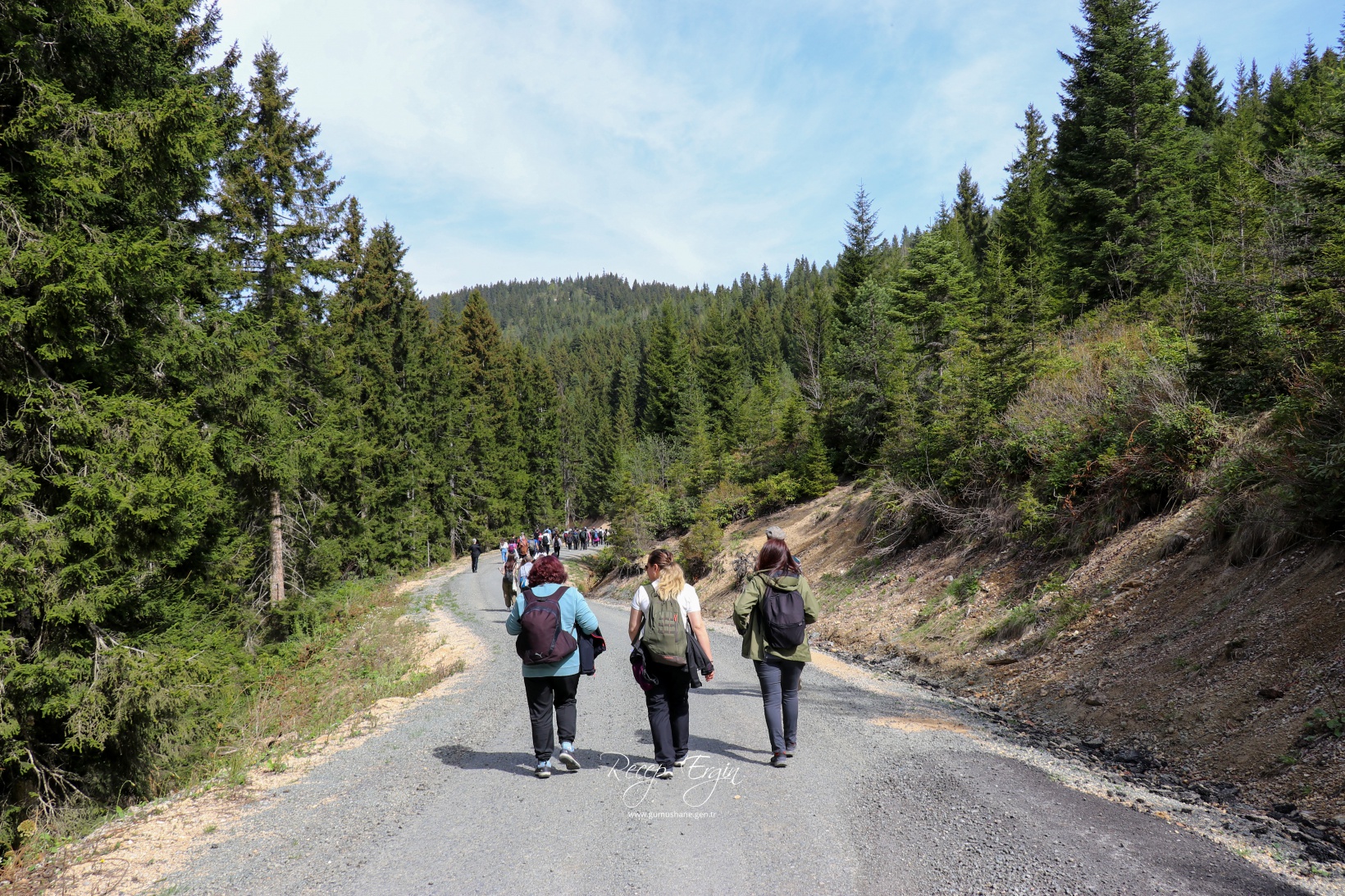 Gümüşhane'de mavi sümbüller arasında doğa yürüyüşü 36