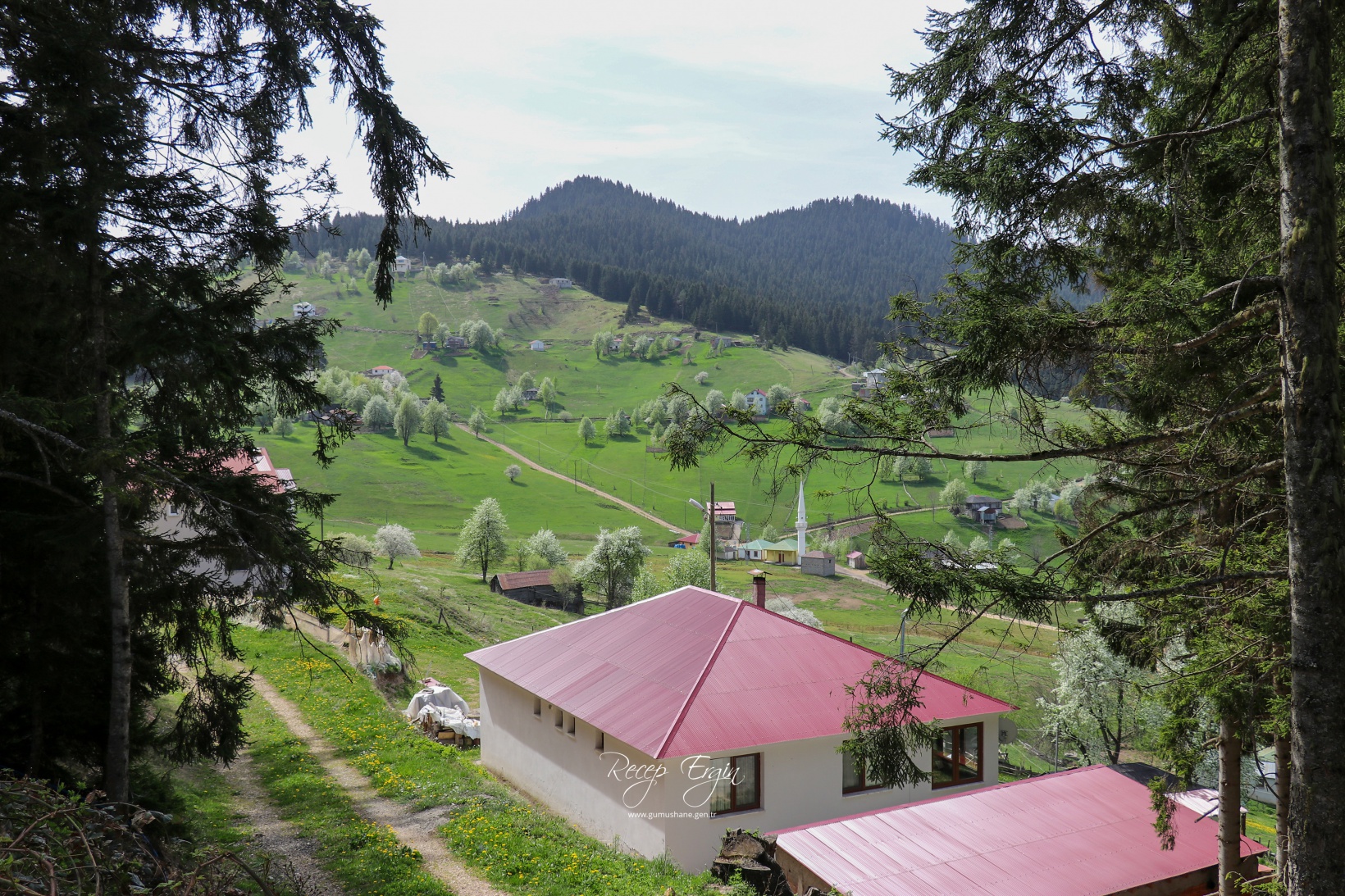 Gümüşhane'de mavi sümbüller arasında doğa yürüyüşü 23