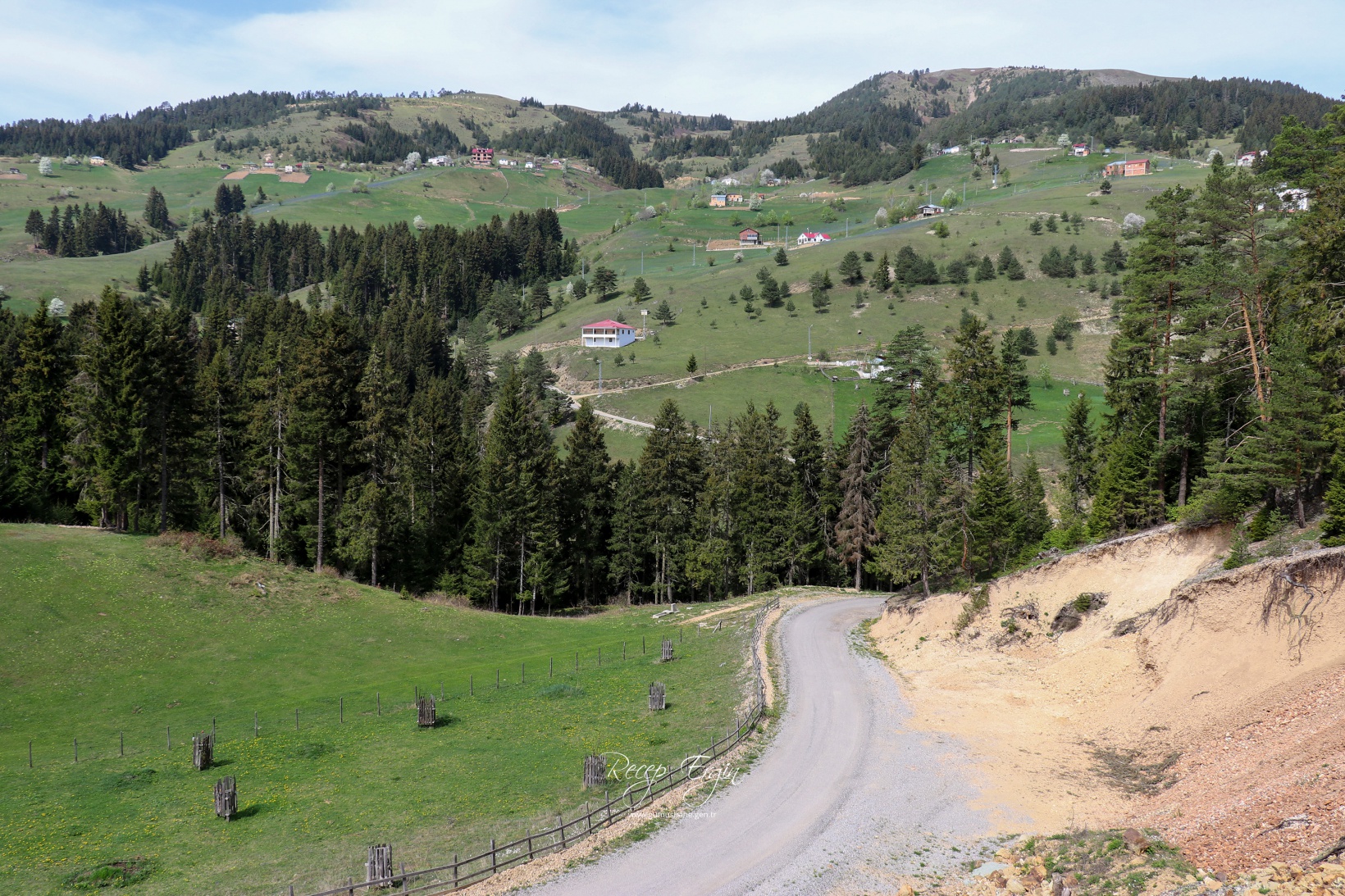 Gümüşhane'de mavi sümbüller arasında doğa yürüyüşü 25