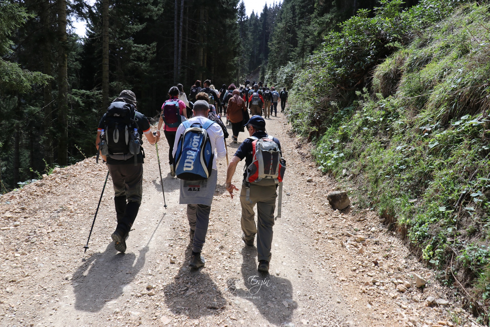 Gümüşhane'de mavi sümbüller arasında doğa yürüyüşü 28