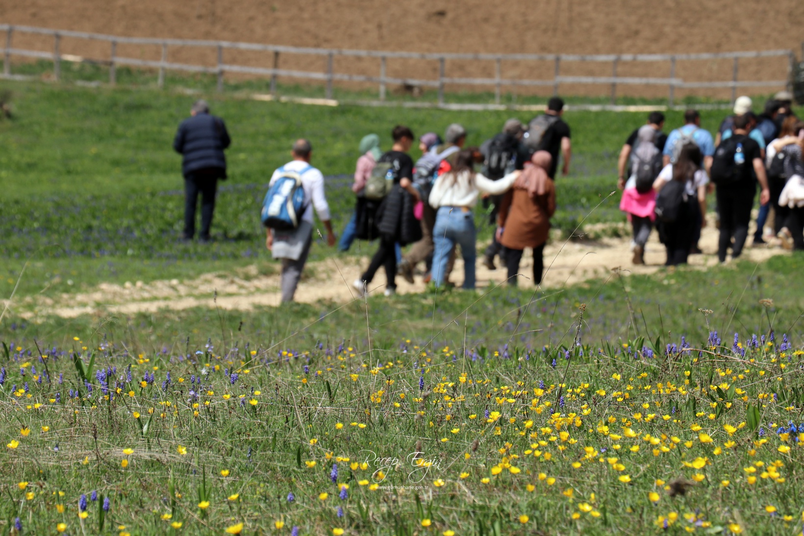 Gümüşhane'de mavi sümbüller arasında doğa yürüyüşü 8