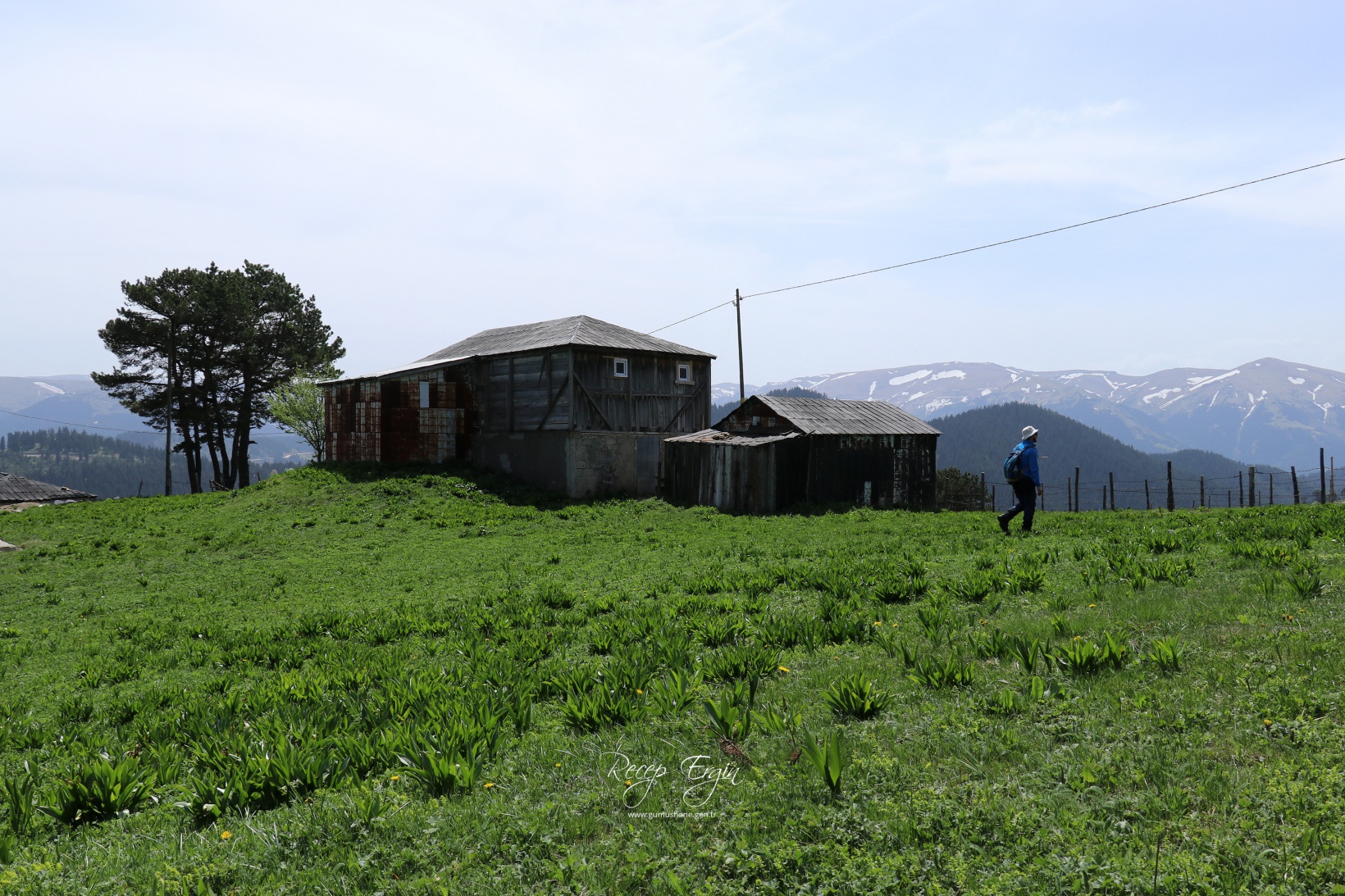 Gümüşhane'de mavi sümbüller arasında doğa yürüyüşü 14