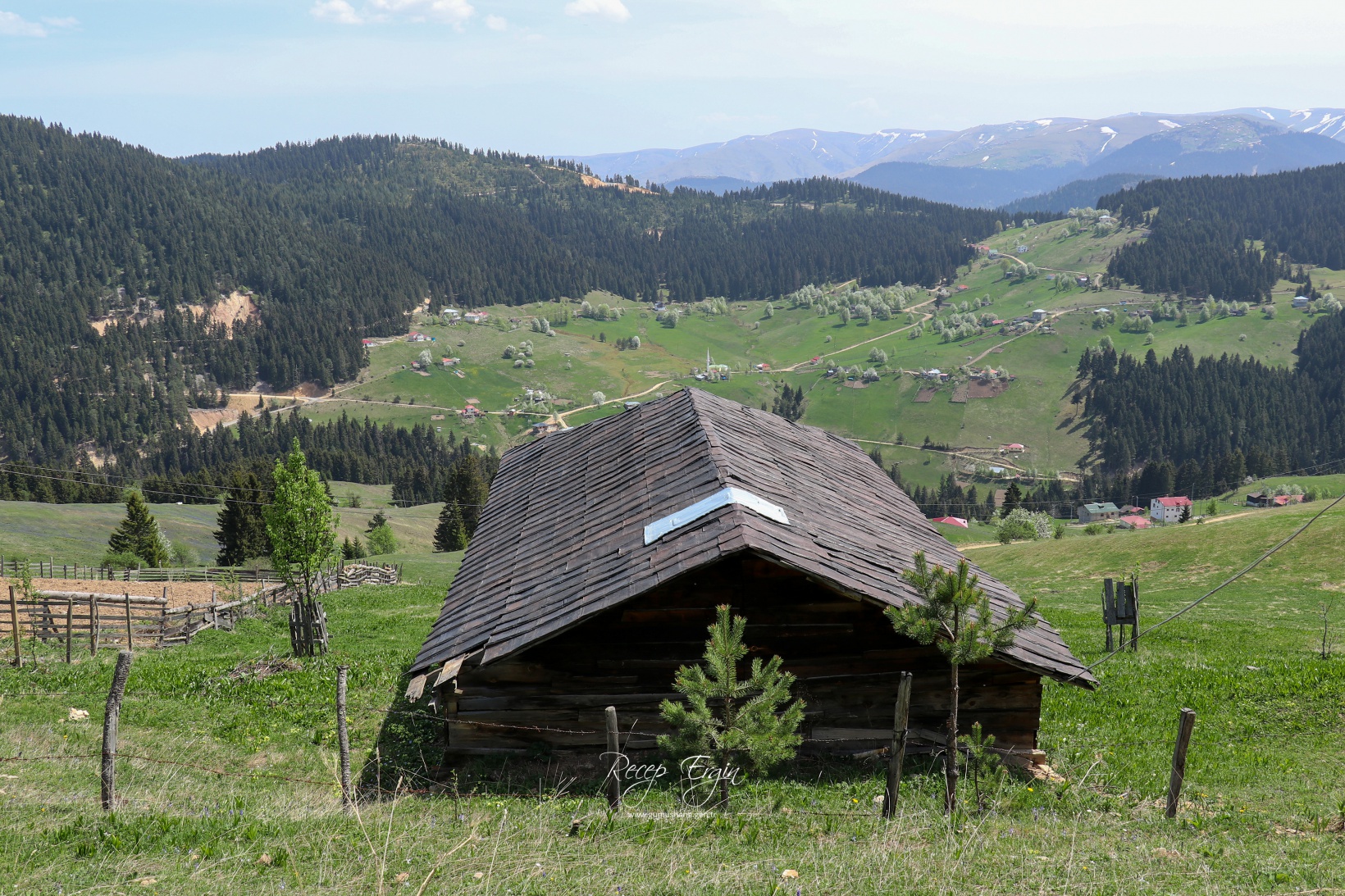 Gümüşhane'de mavi sümbüller arasında doğa yürüyüşü 31