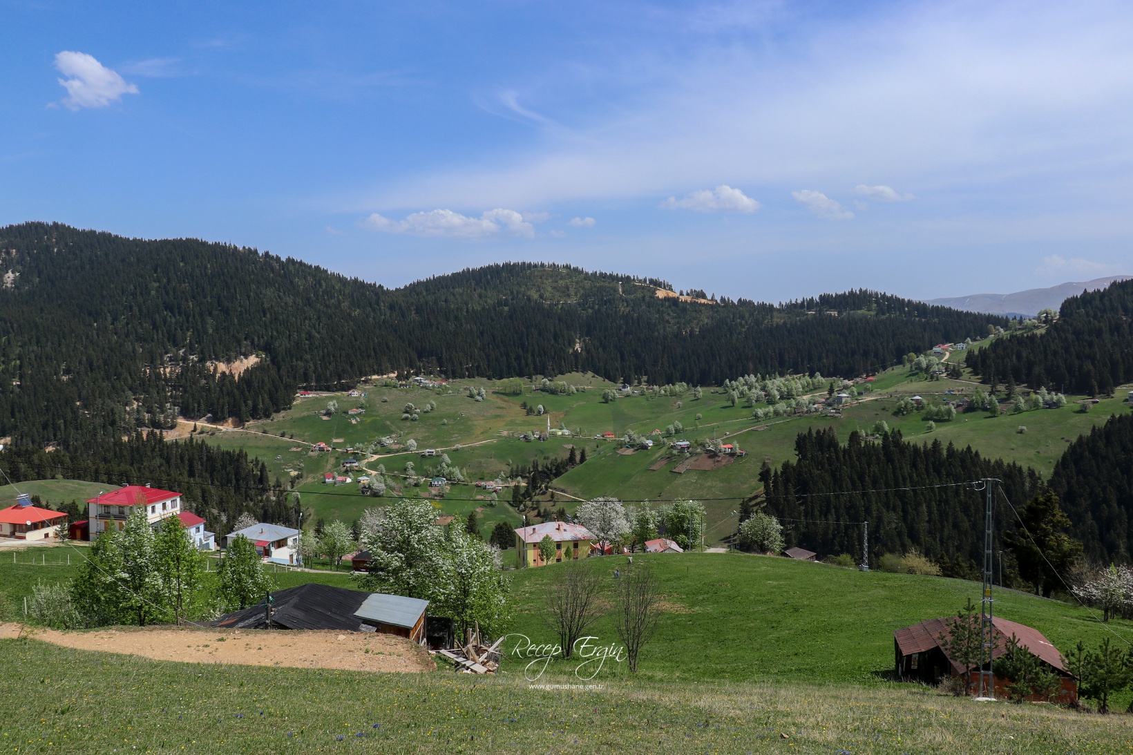 Gümüşhane'de mavi sümbüller arasında doğa yürüyüşü 13