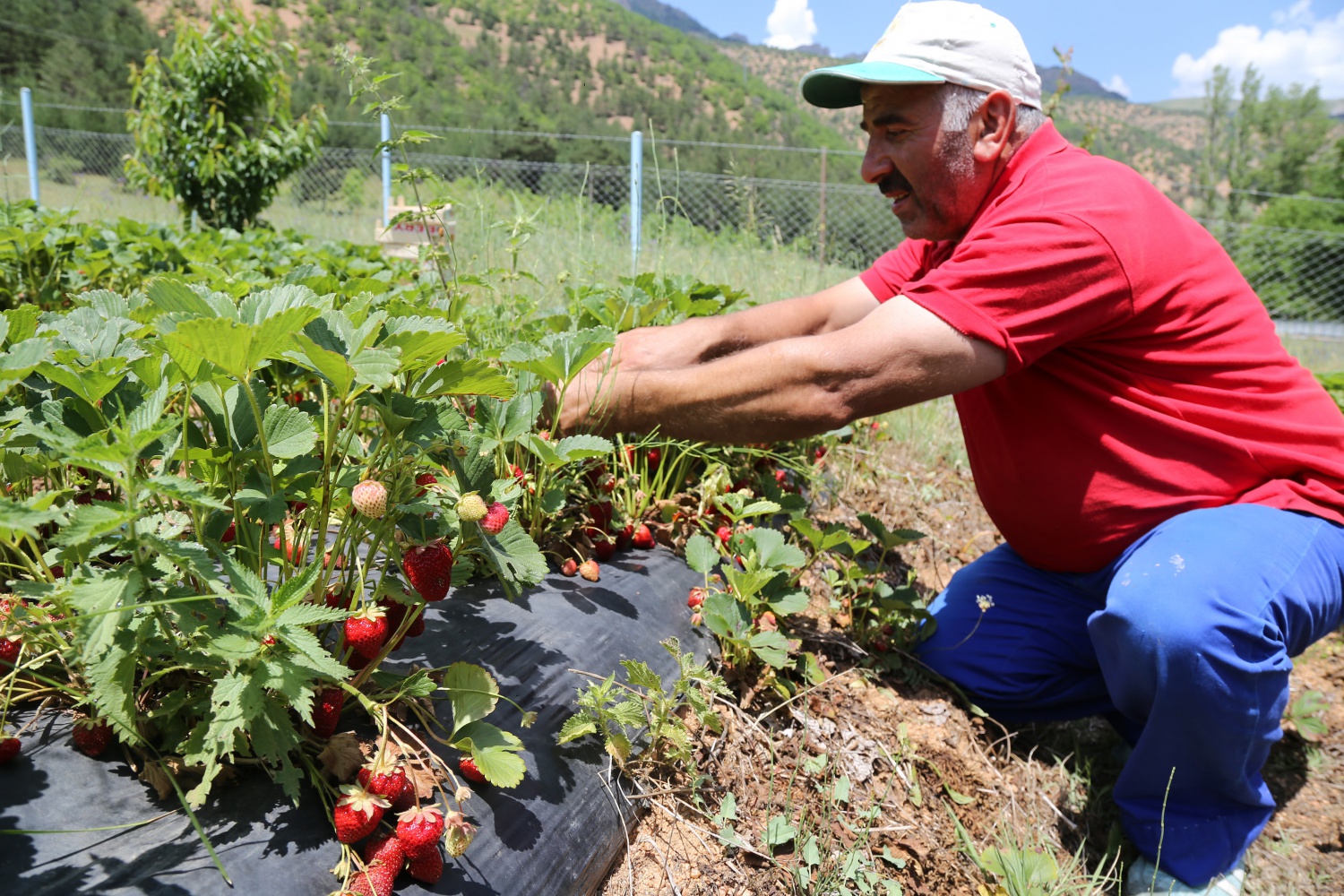 Tavsiye üzerine başladılar şimdi siparişlere yetişemiyorlar 12