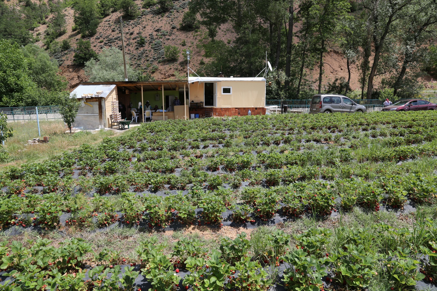 Tavsiye üzerine başladılar şimdi siparişlere yetişemiyorlar 24