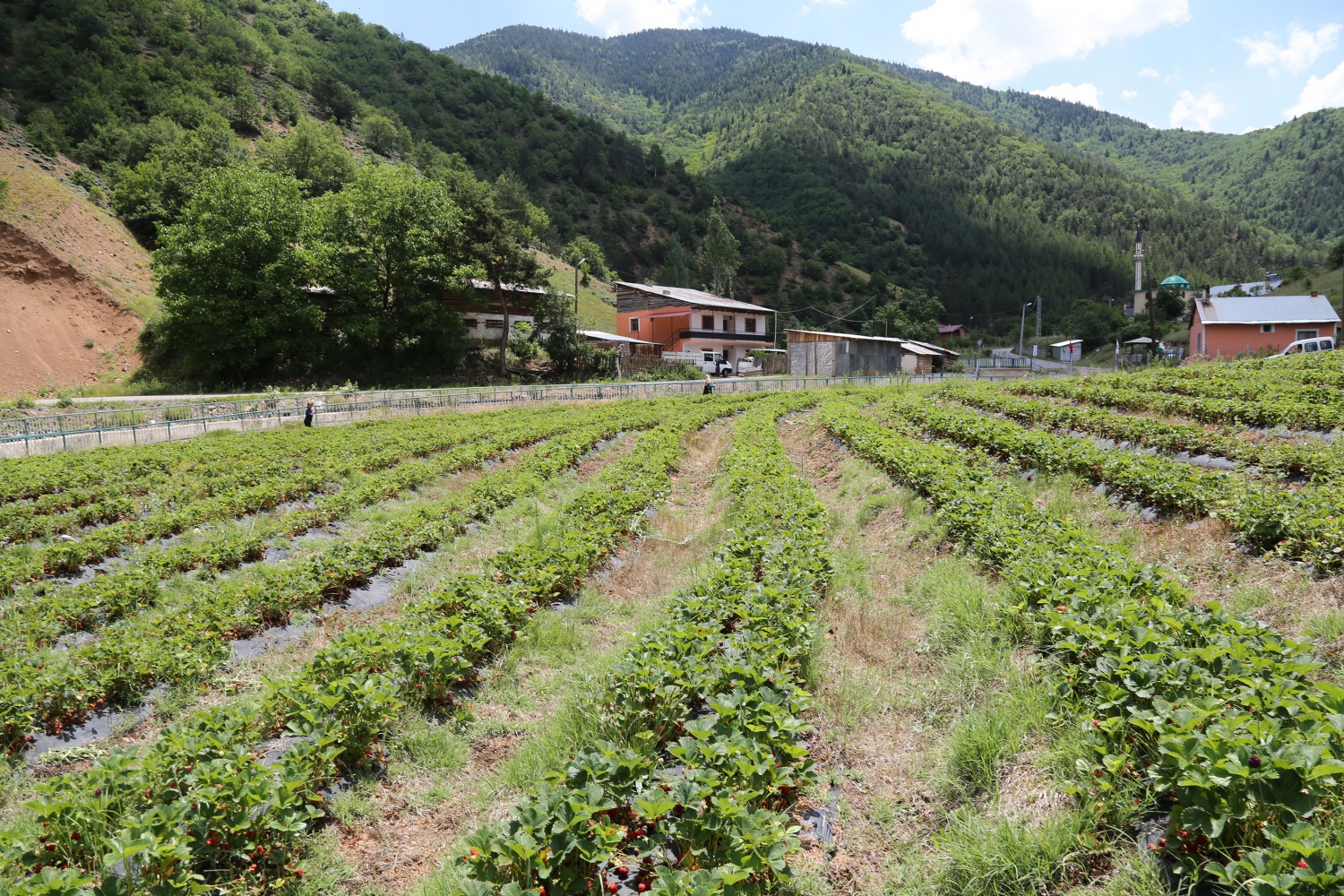 Tavsiye üzerine başladılar şimdi siparişlere yetişemiyorlar 26