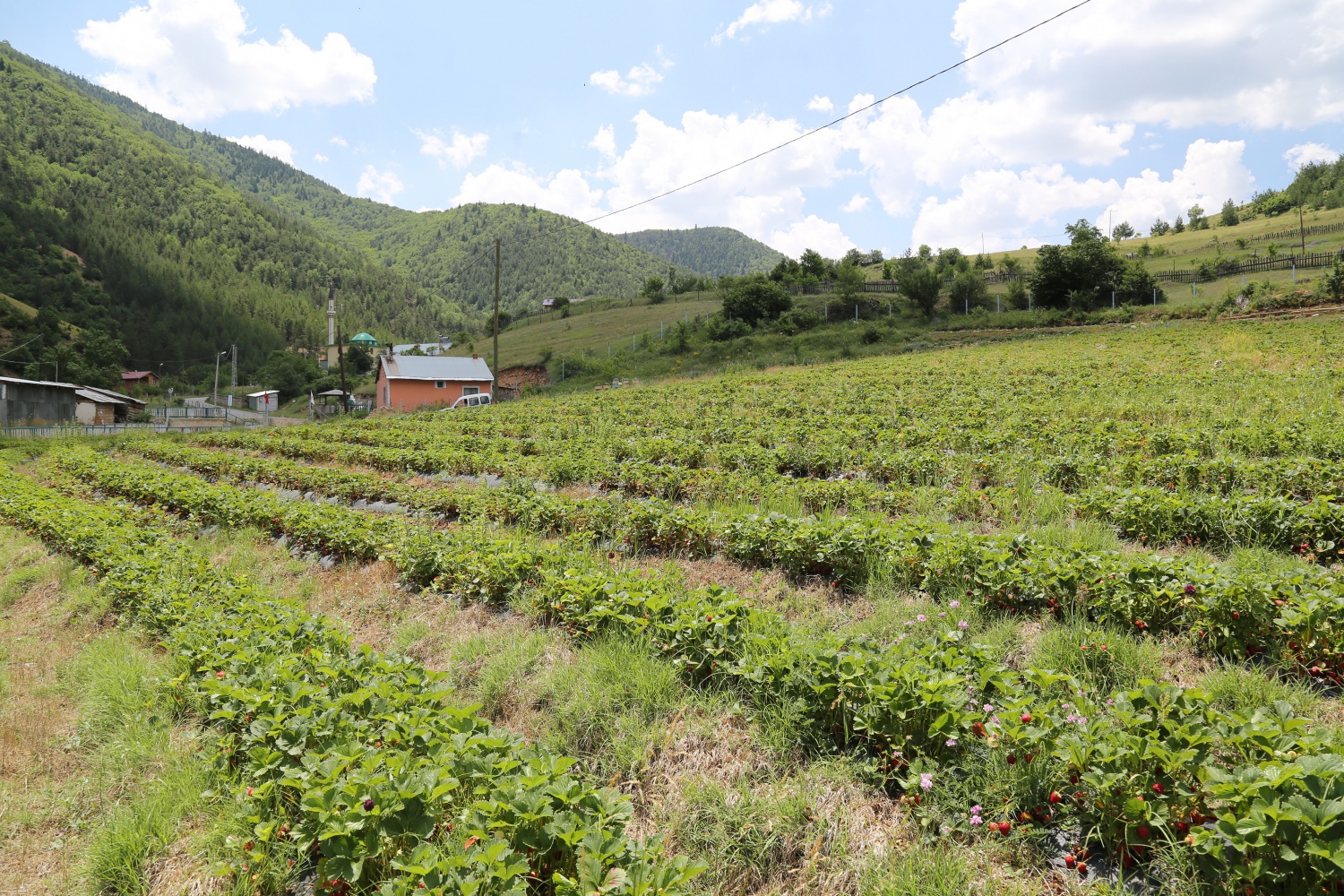Tavsiye üzerine başladılar şimdi siparişlere yetişemiyorlar 31