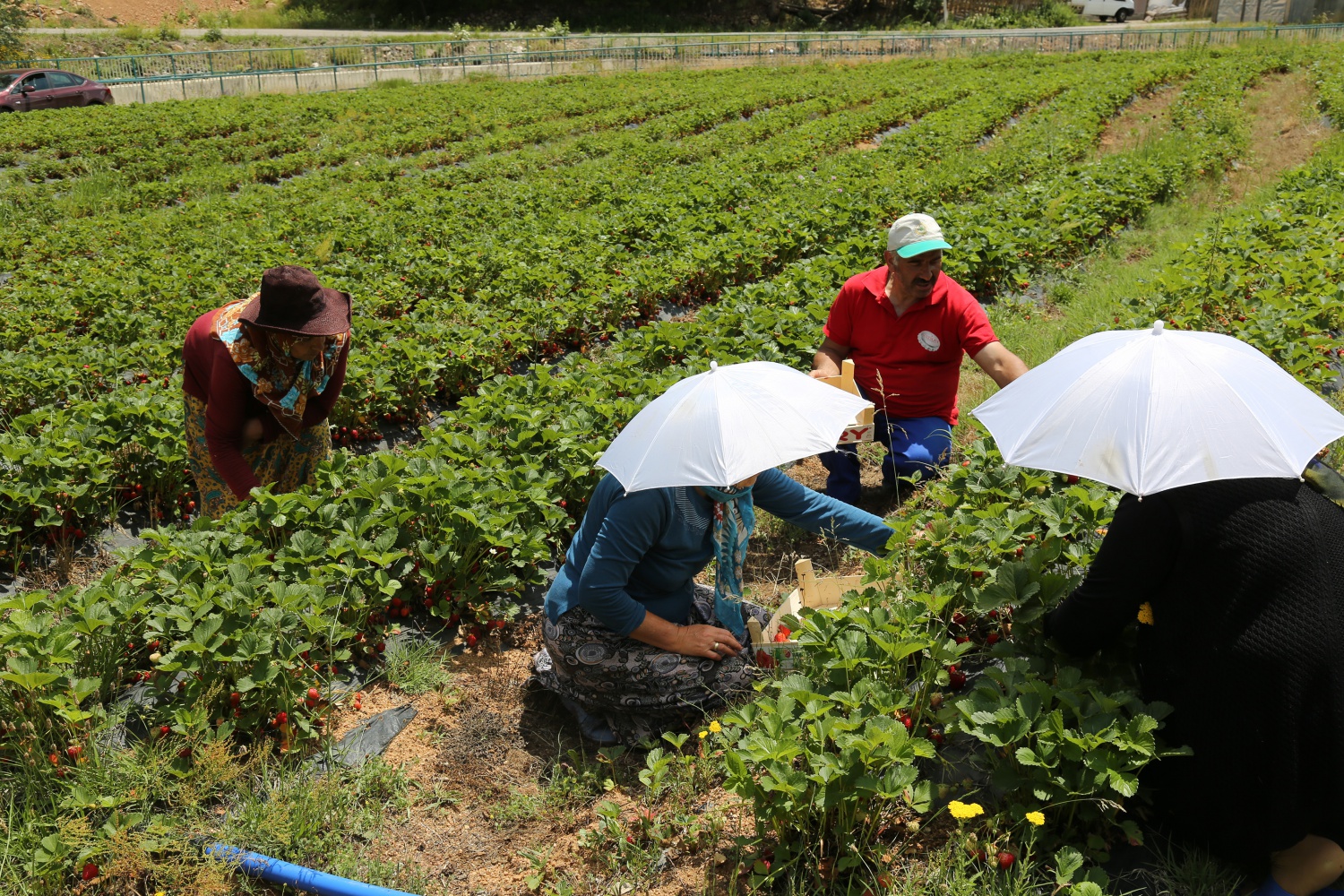 Tavsiye üzerine başladılar şimdi siparişlere yetişemiyorlar 23