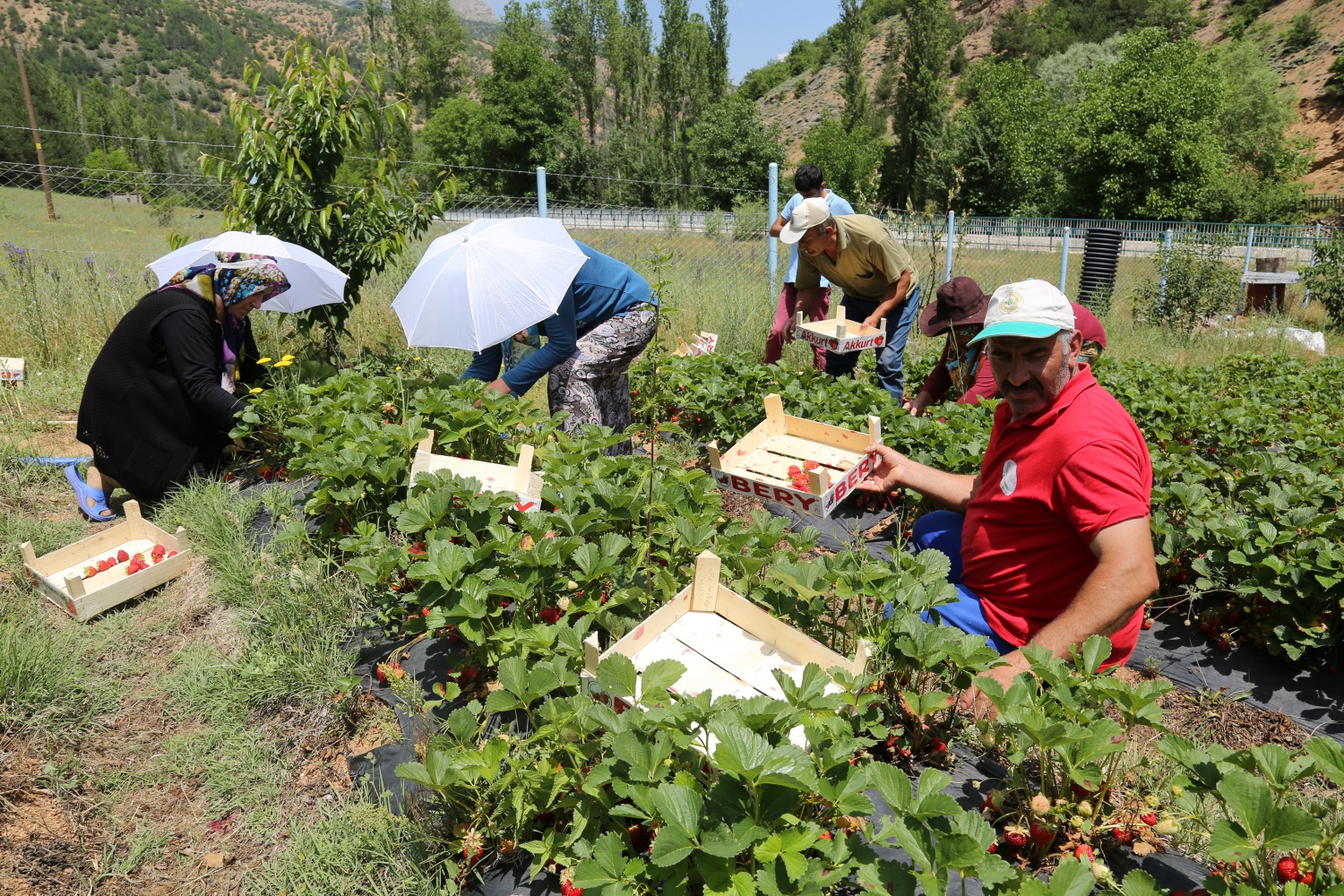 Tavsiye üzerine başladılar şimdi siparişlere yetişemiyorlar 27