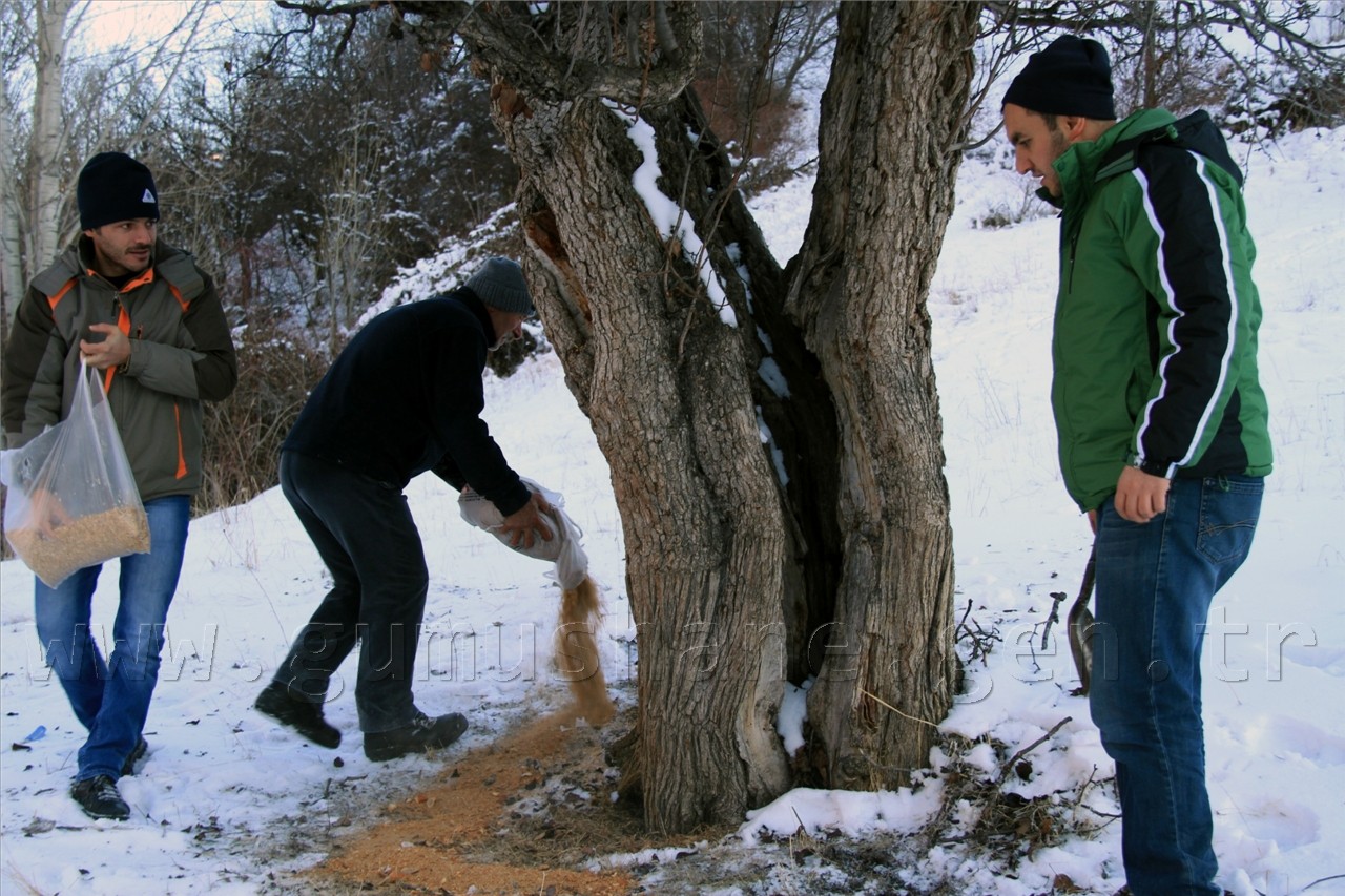 TEMA Yaban Hayatına Sahip Çıktı 3