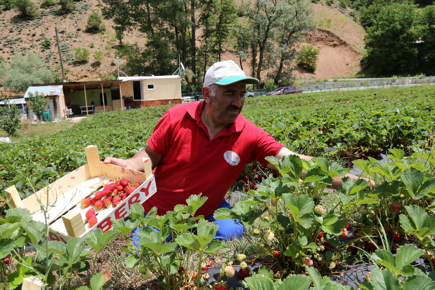 Tavsiye üzerine başladılar şimdi siparişlere yetişemiyorlar 18