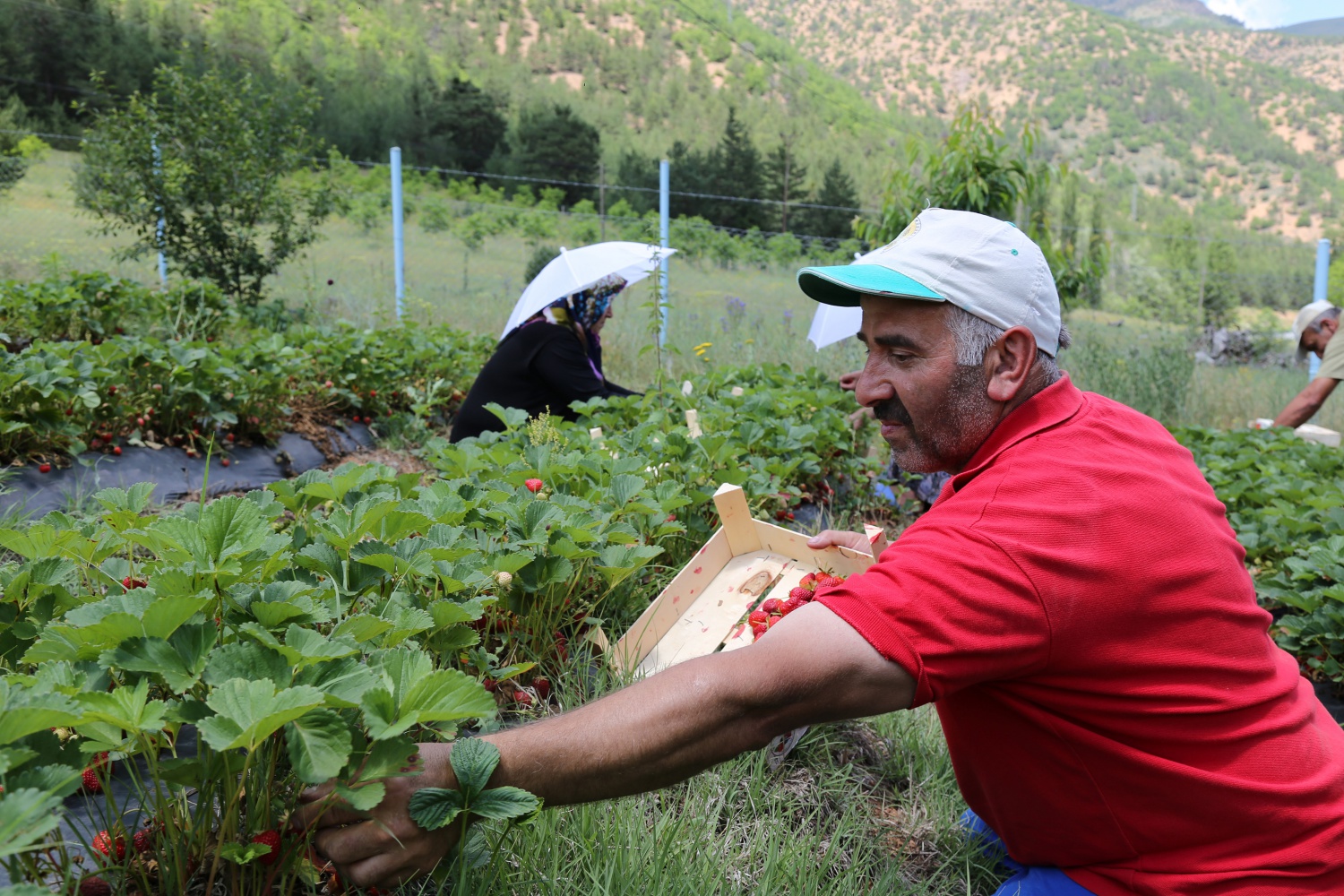 Tavsiye üzerine başladılar şimdi siparişlere yetişemiyorlar 13