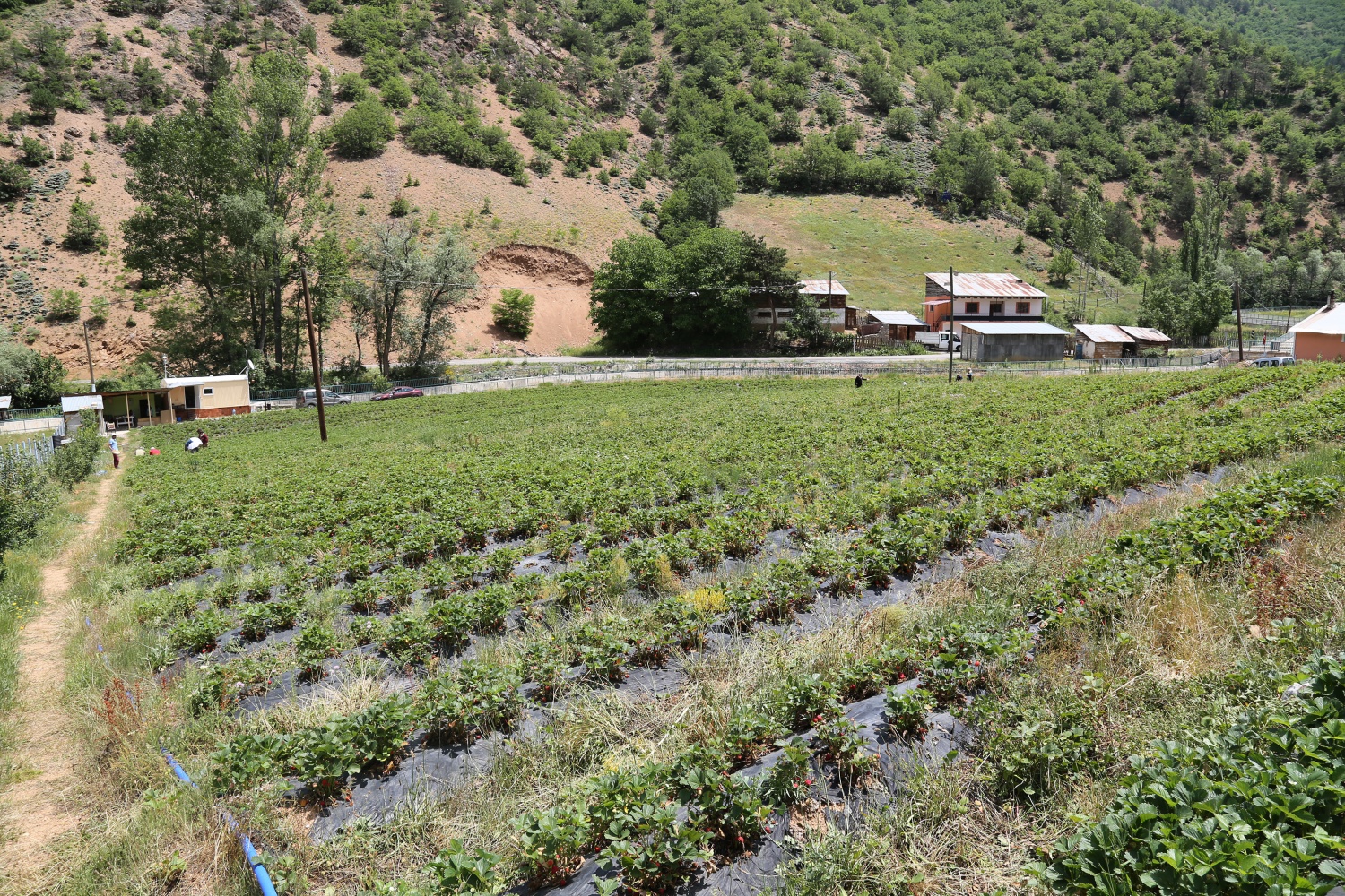 Tavsiye üzerine başladılar şimdi siparişlere yetişemiyorlar 28