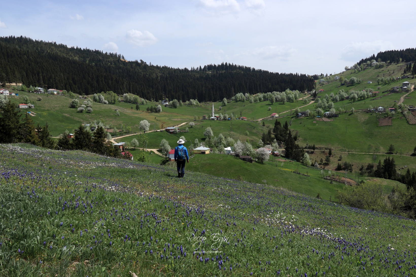 Gümüşhane'de mavi sümbüller arasında doğa yürüyüşü 18