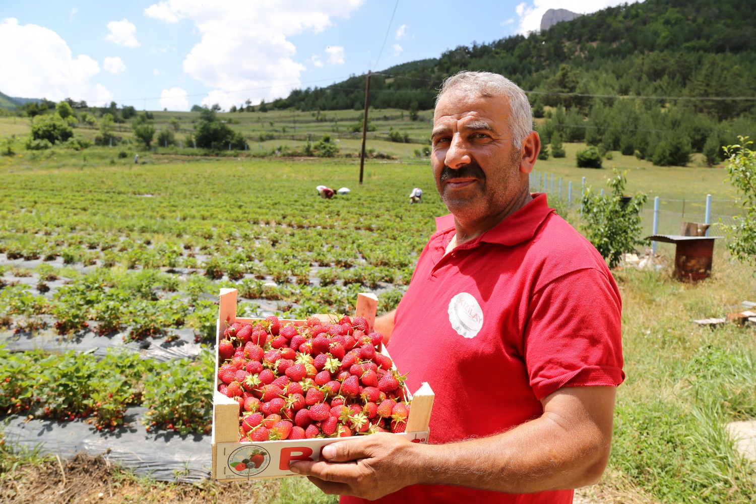 Tavsiye üzerine başladılar şimdi siparişlere yetişemiyorlar 14