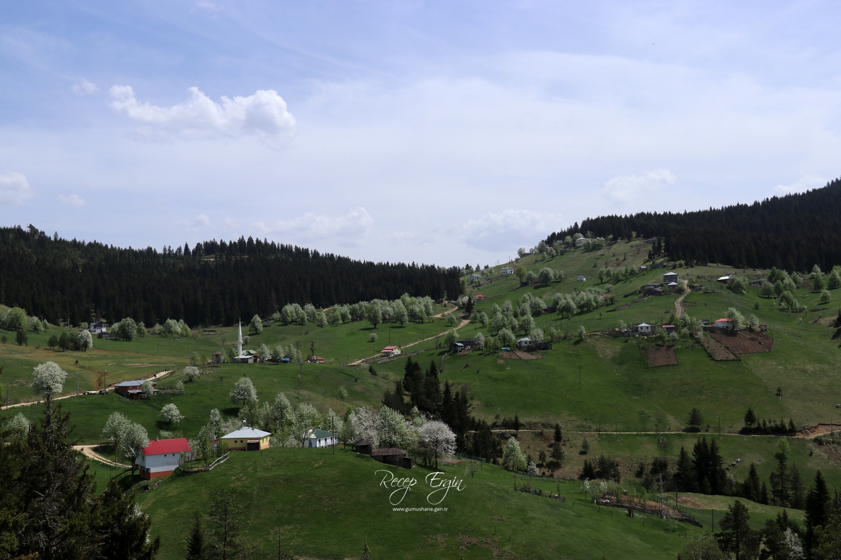 Gümüşhane'de mavi sümbüller arasında doğa yürüyüşü 4