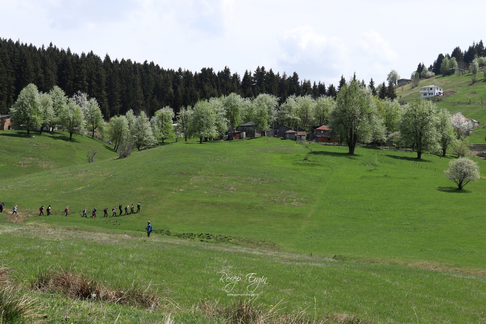 Gümüşhane'de mavi sümbüller arasında doğa yürüyüşü 21
