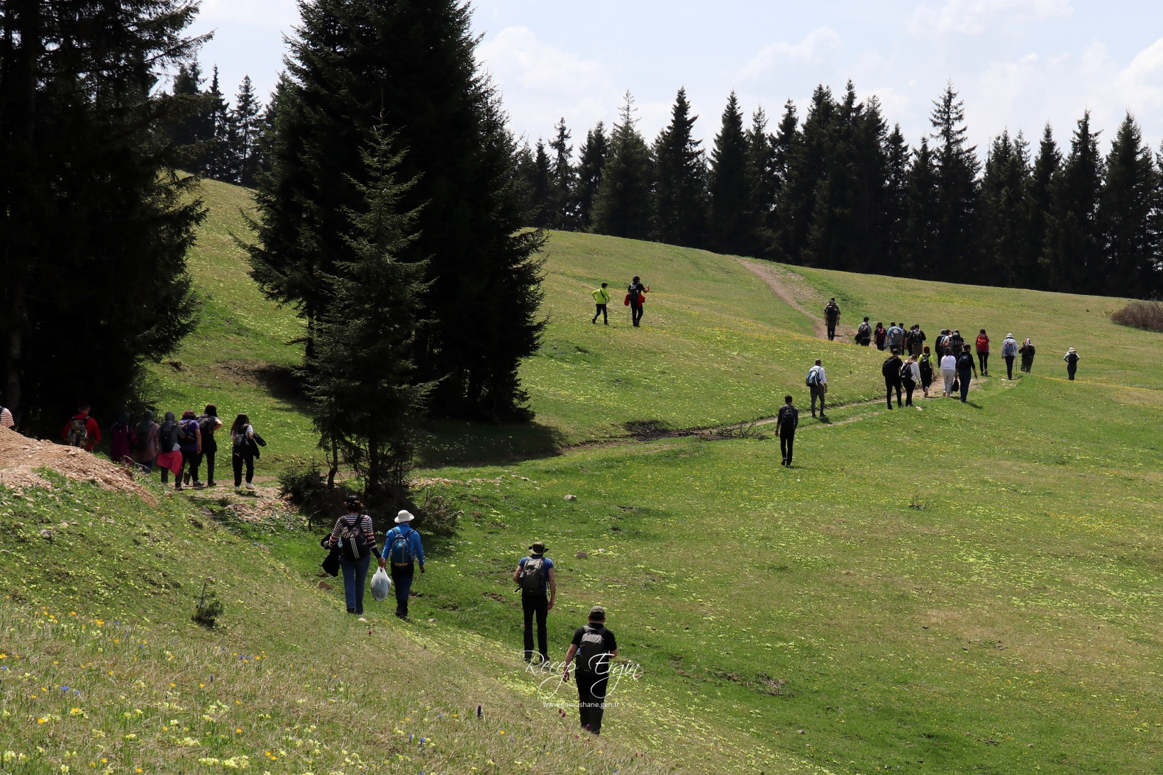 Gümüşhane'de mavi sümbüller arasında doğa yürüyüşü 16