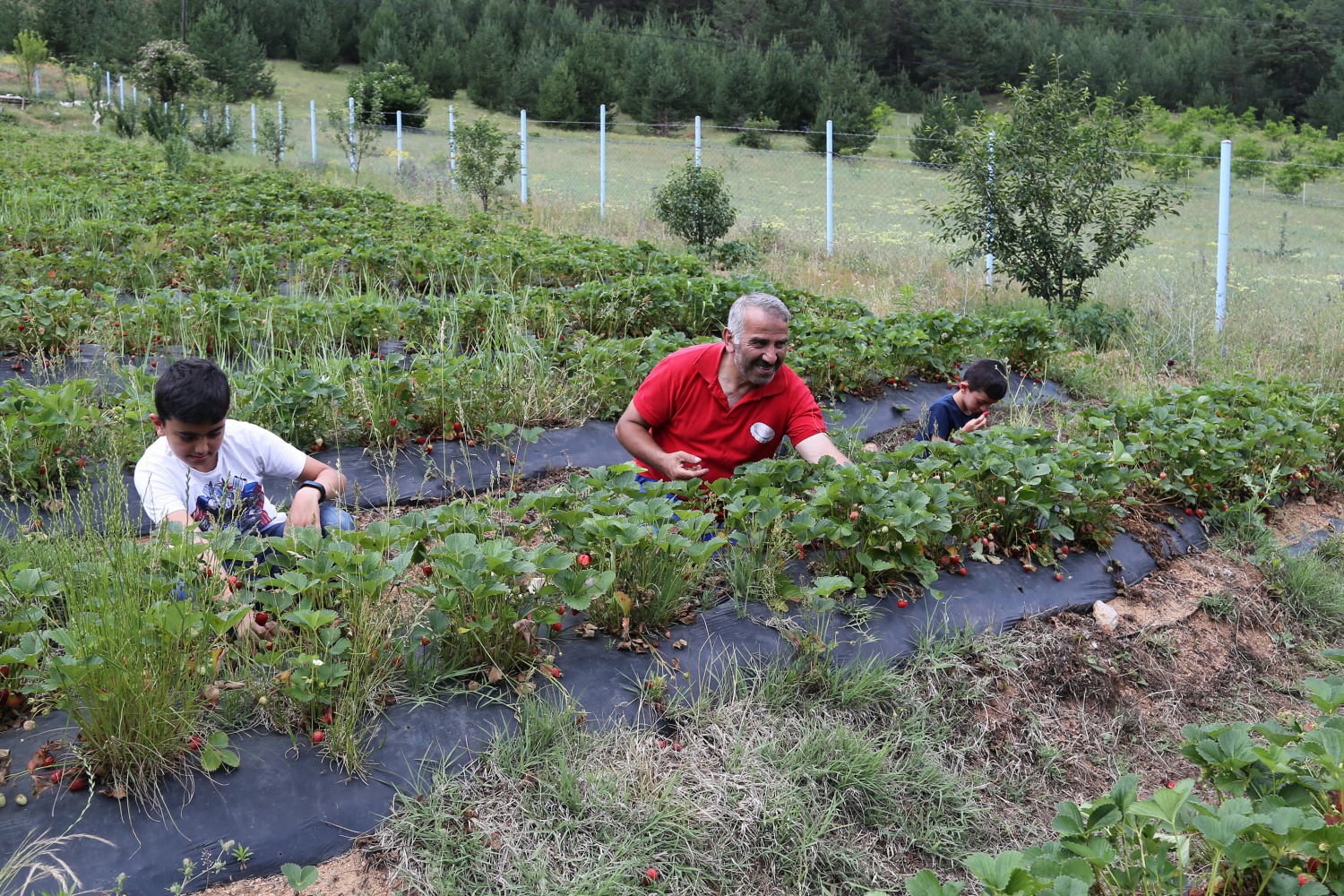 Tavsiye üzerine başladılar şimdi siparişlere yetişemiyorlar 36