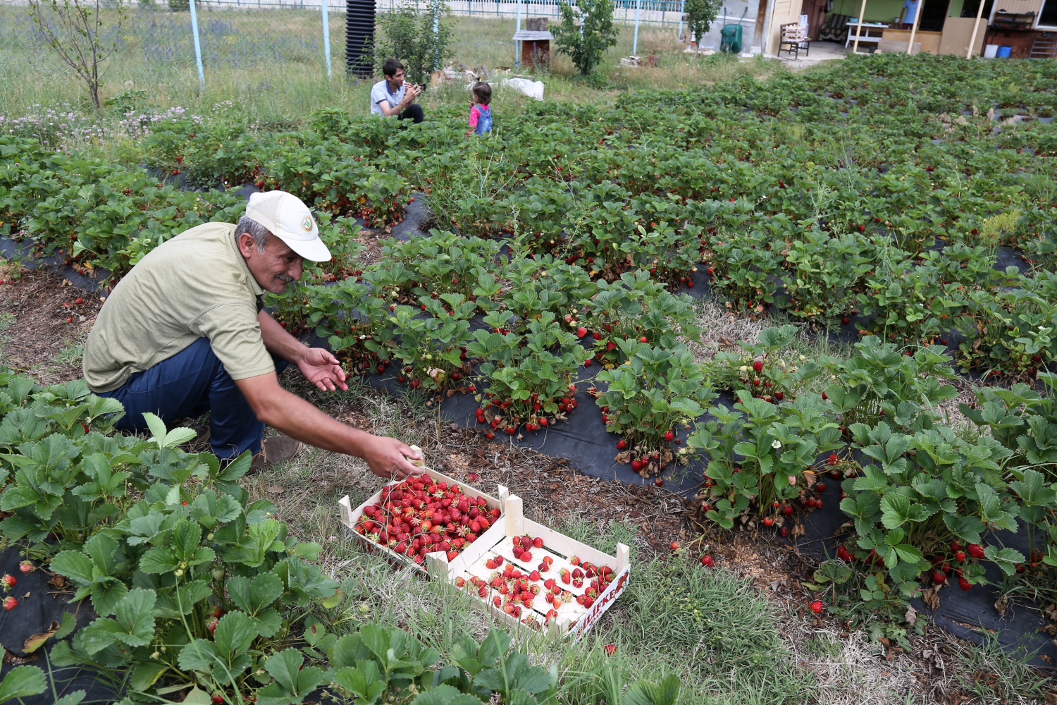 Tavsiye üzerine başladılar şimdi siparişlere yetişemiyorlar 35