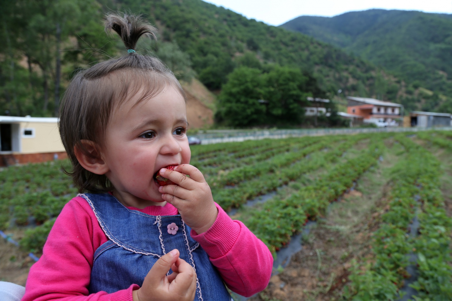 Tavsiye üzerine başladılar şimdi siparişlere yetişemiyorlar 6