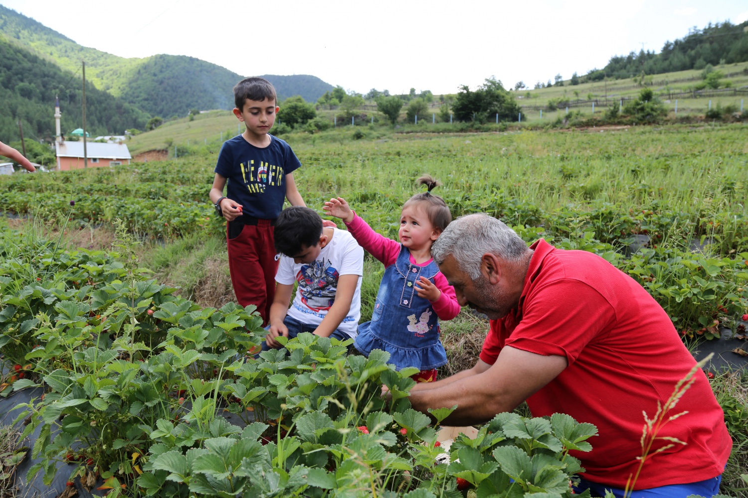 Tavsiye üzerine başladılar şimdi siparişlere yetişemiyorlar 11