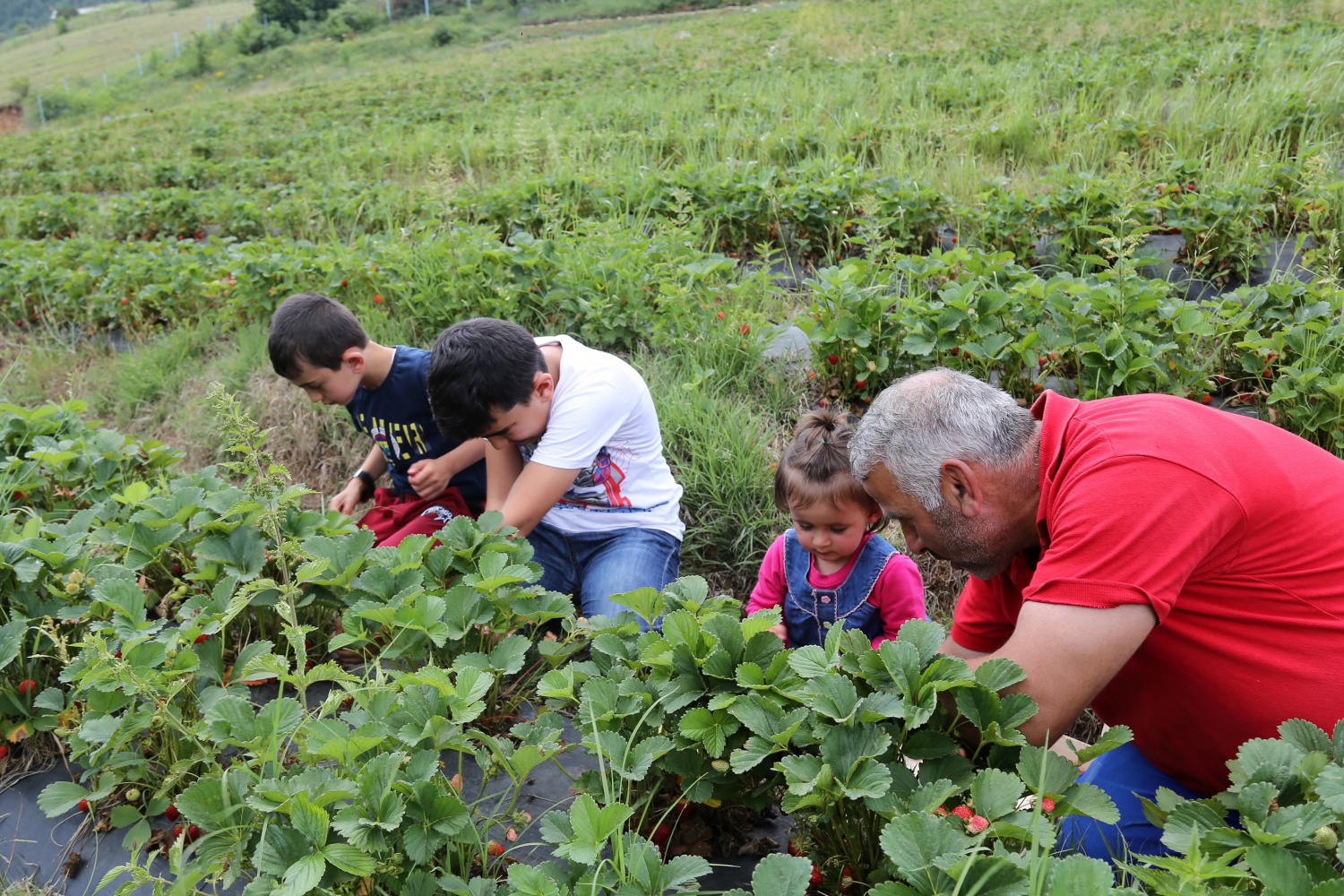 Tavsiye üzerine başladılar şimdi siparişlere yetişemiyorlar 33