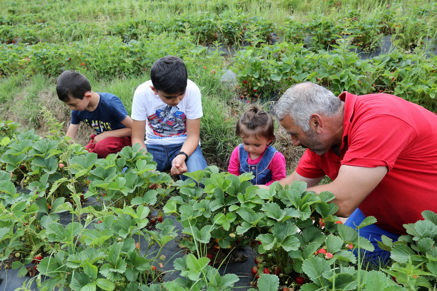 Tavsiye üzerine başladılar şimdi siparişlere yetişemiyorlar 17