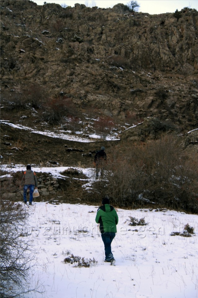 TEMA Yaban Hayatına Sahip Çıktı 6