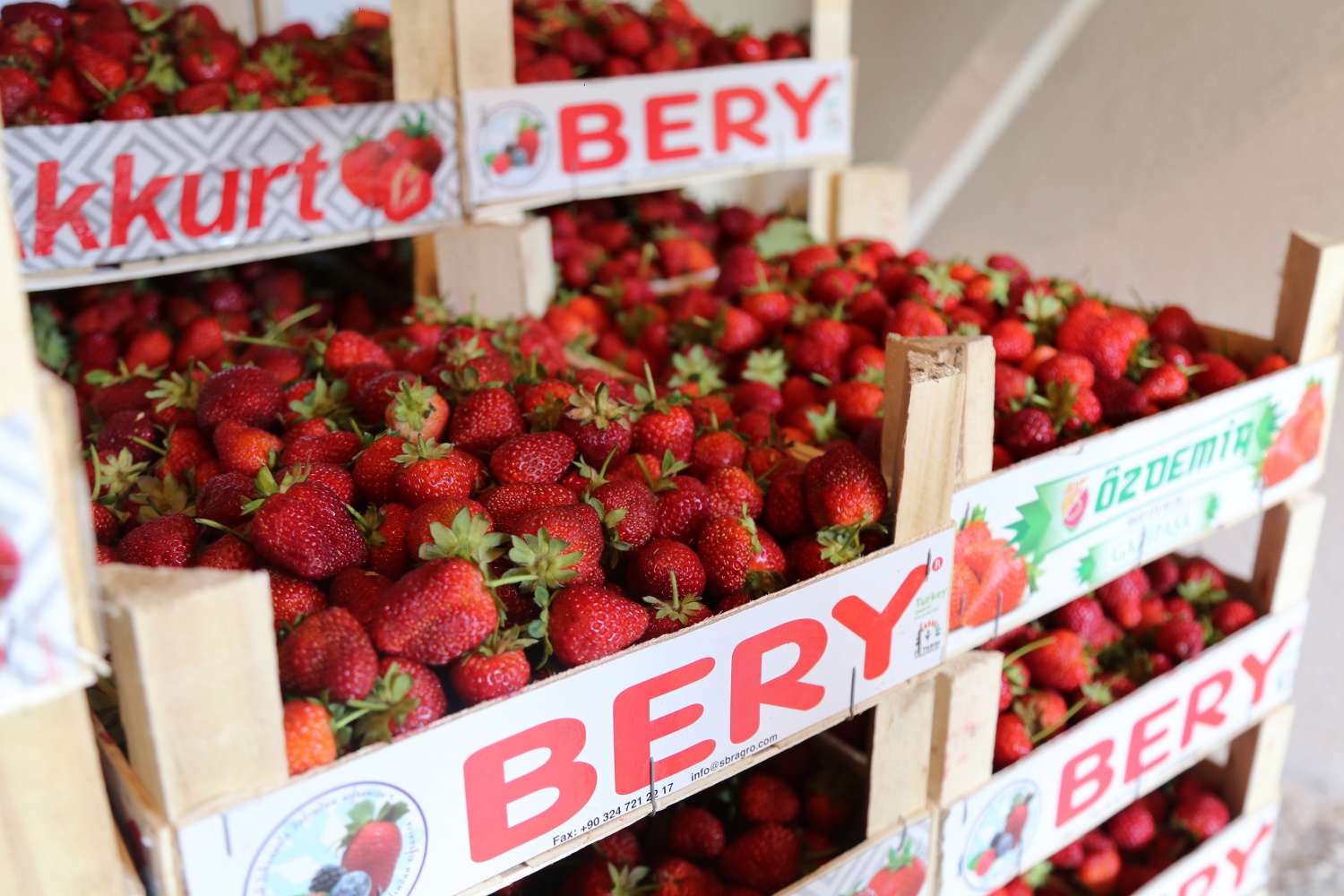Tavsiye üzerine başladılar şimdi siparişlere yetişemiyorlar 7
