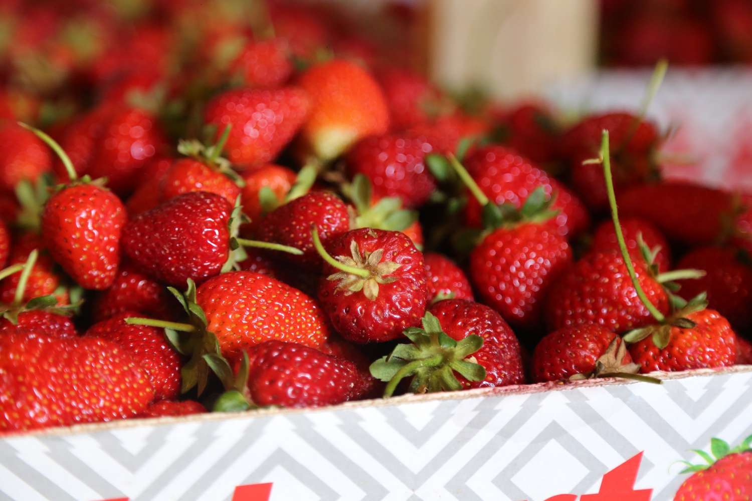 Tavsiye üzerine başladılar şimdi siparişlere yetişemiyorlar 4