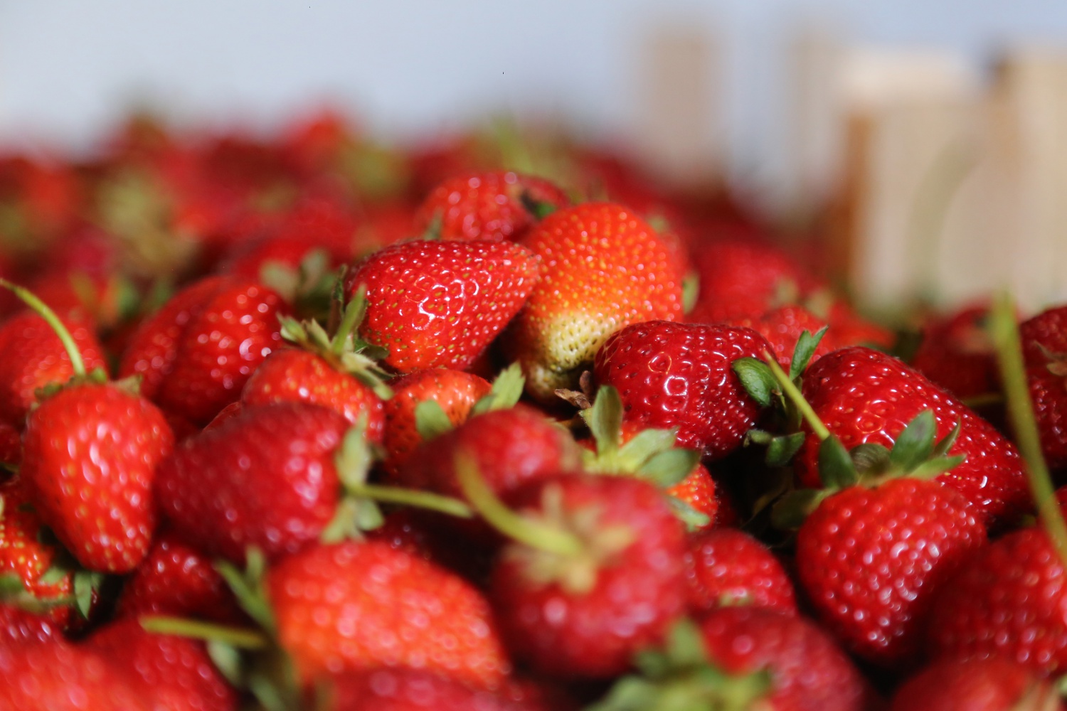 Tavsiye üzerine başladılar şimdi siparişlere yetişemiyorlar 2