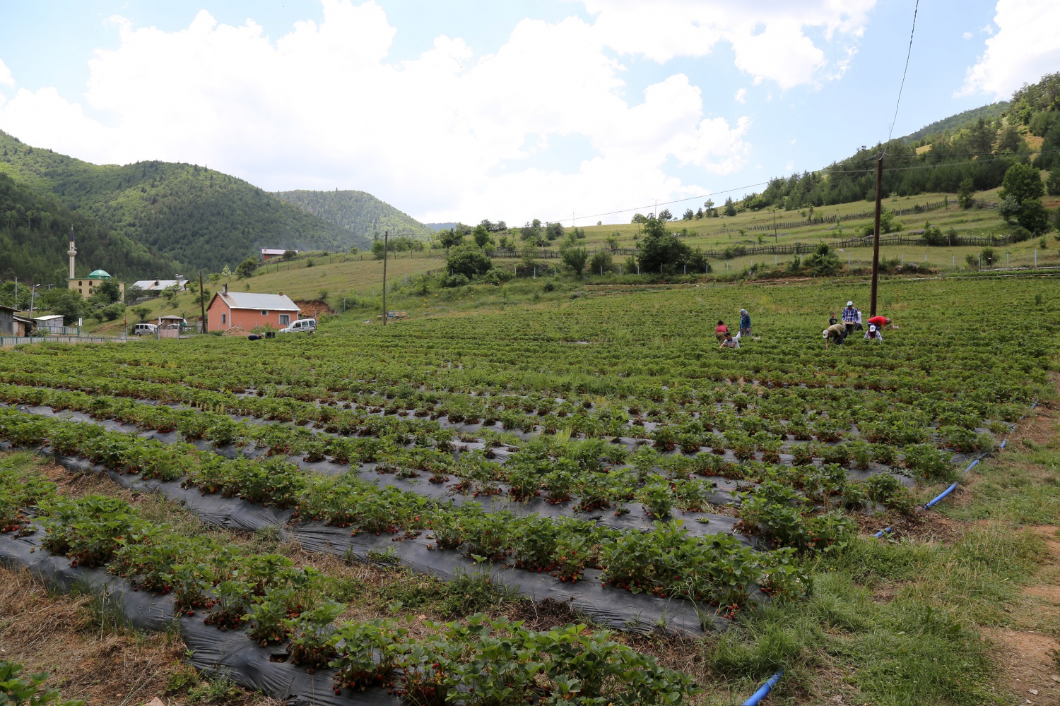 Tavsiye üzerine başladılar şimdi siparişlere yetişemiyorlar 19
