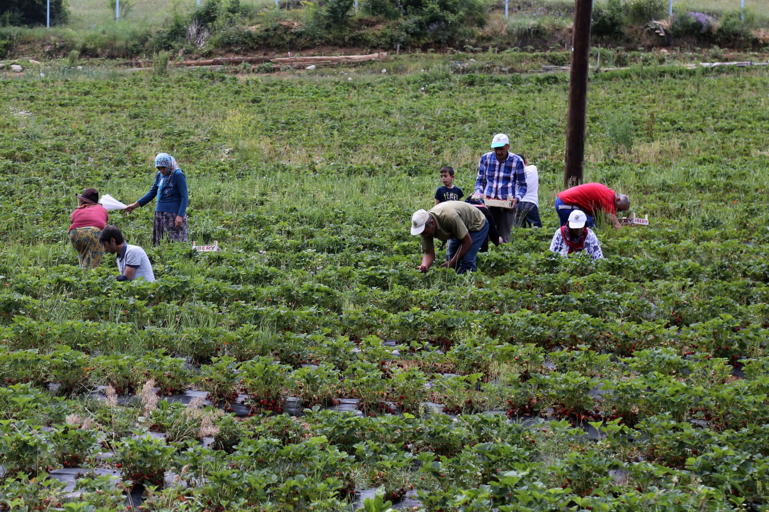 Tavsiye üzerine başladılar şimdi siparişlere yetişemiyorlar 21