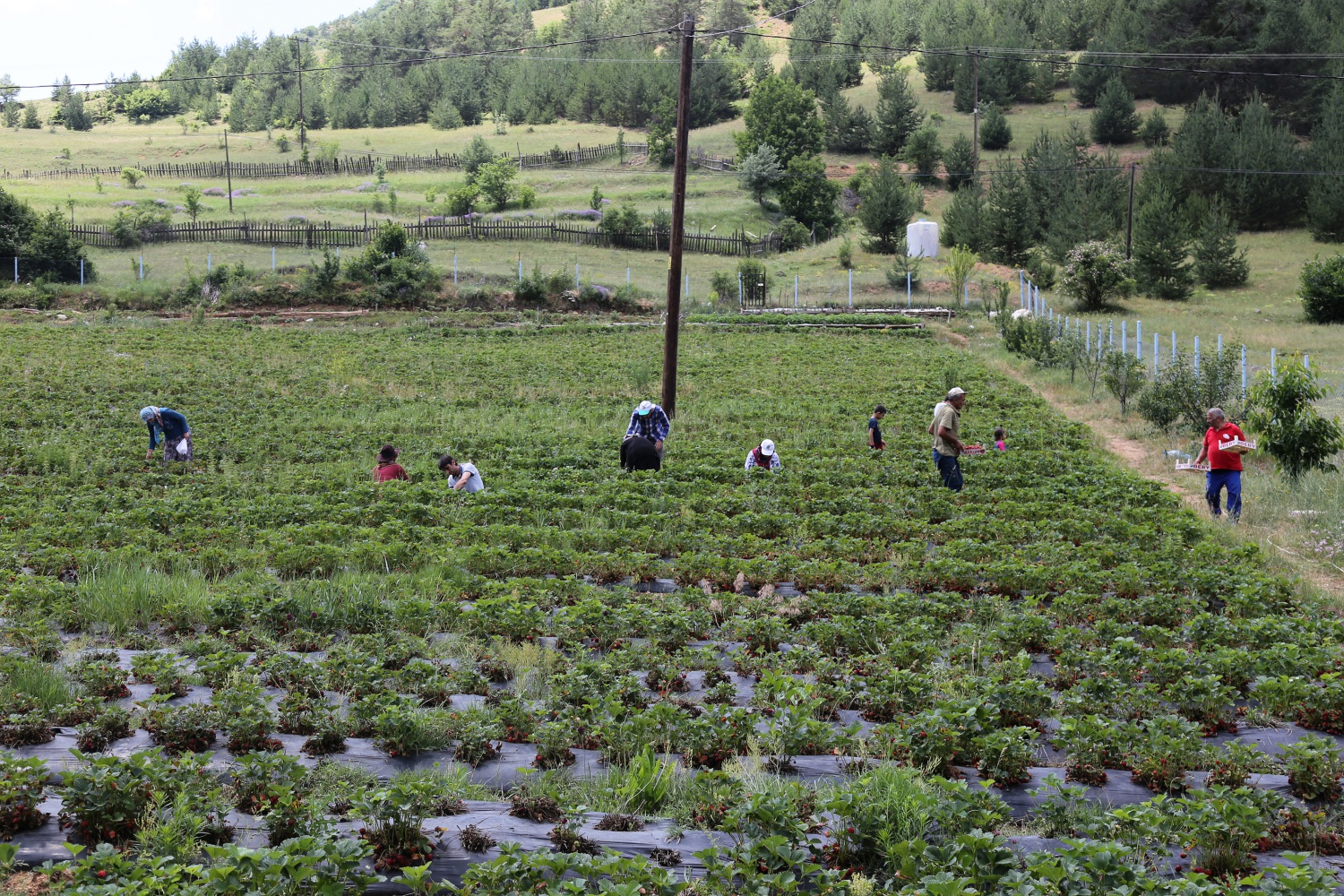 Tavsiye üzerine başladılar şimdi siparişlere yetişemiyorlar 29