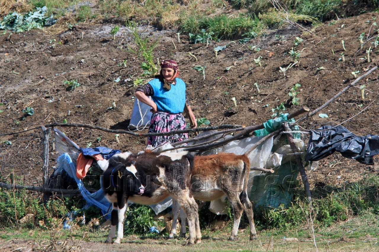 Gümüşhaneli Dağcılardan Sonbahar Yürüyüşü 4