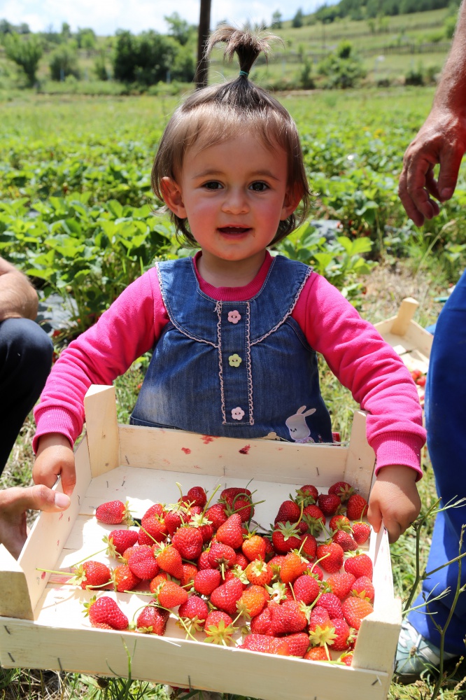 Tavsiye üzerine başladılar şimdi siparişlere yetişemiyorlar 10