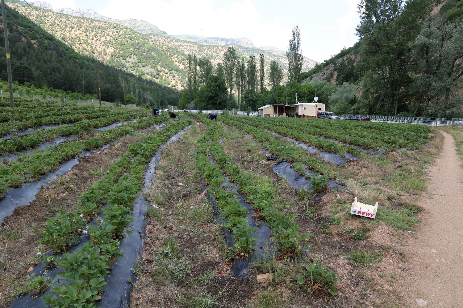 Tavsiye üzerine başladılar şimdi siparişlere yetişemiyorlar 32