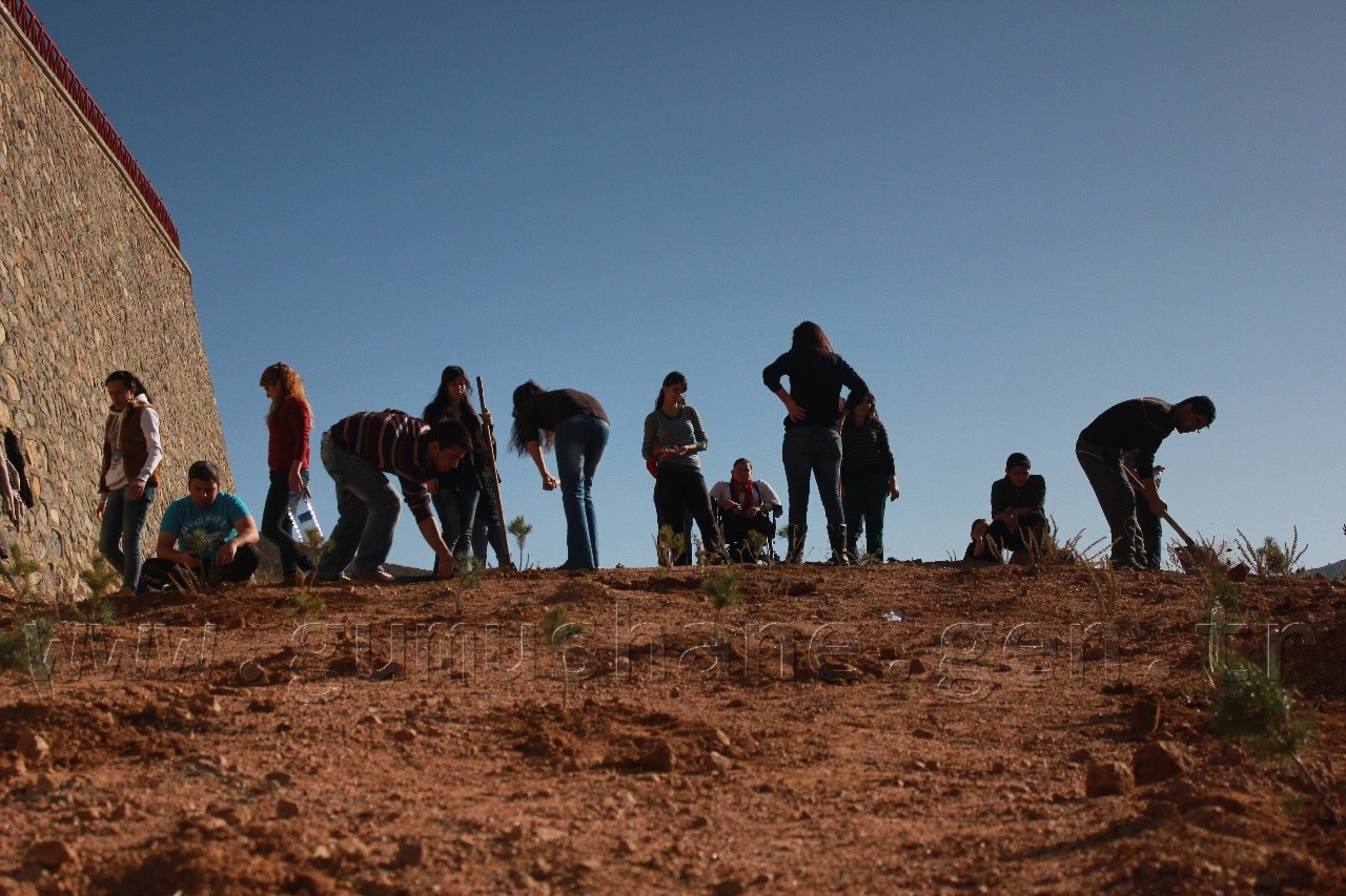 Gümüşperde Sinema Kulübü'nden Hatıra Ormanı 1