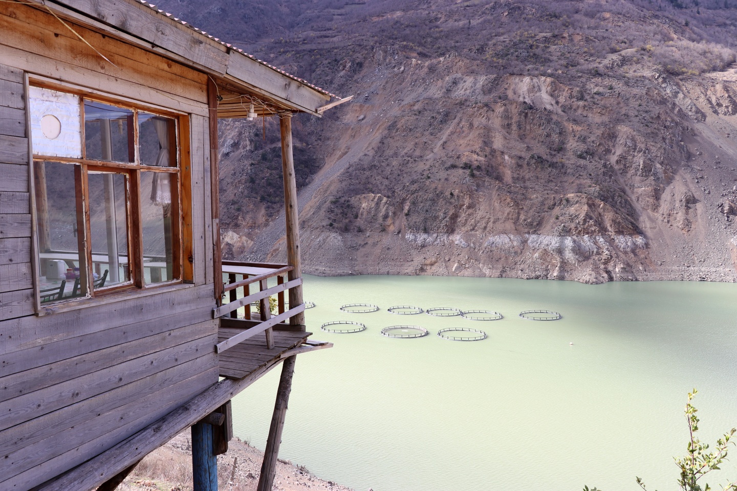 Özkürtün’e kadın eli değdi belde rengarenk oldu 20