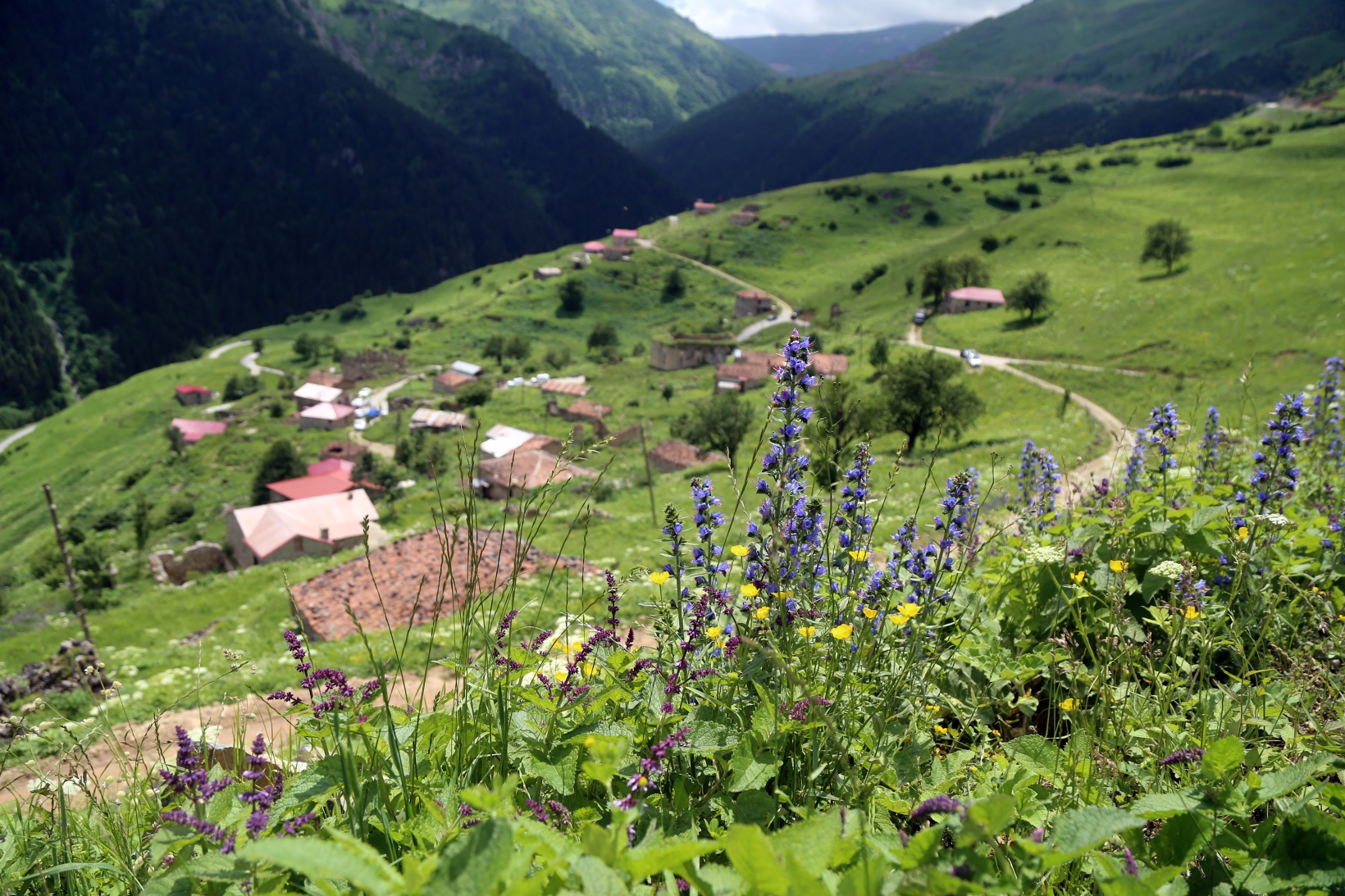 Santa Harabelerinde bahar güzelliği 2