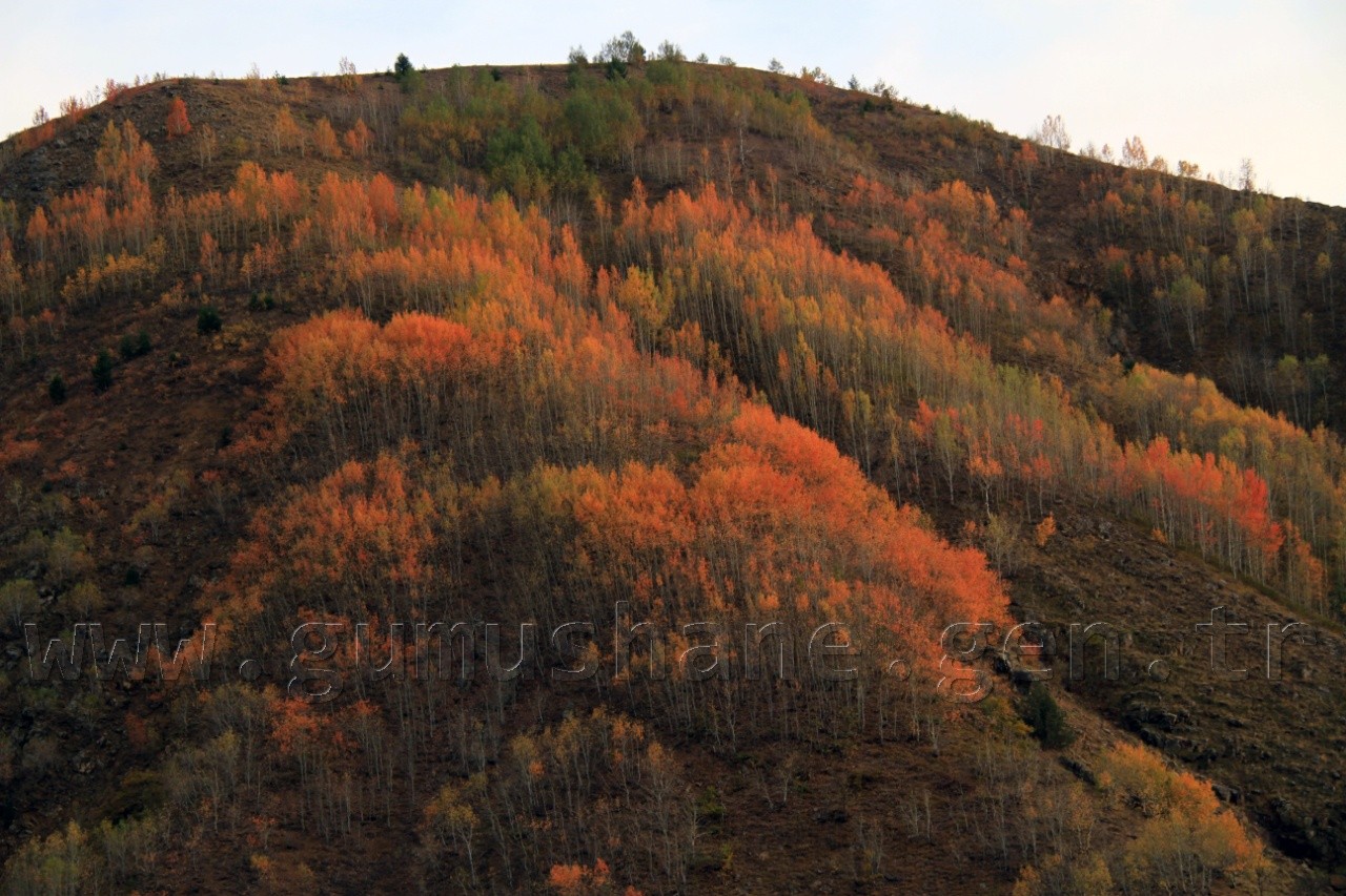 Gümüşhaneli Dağcılardan Sonbahar Yürüyüşü 12